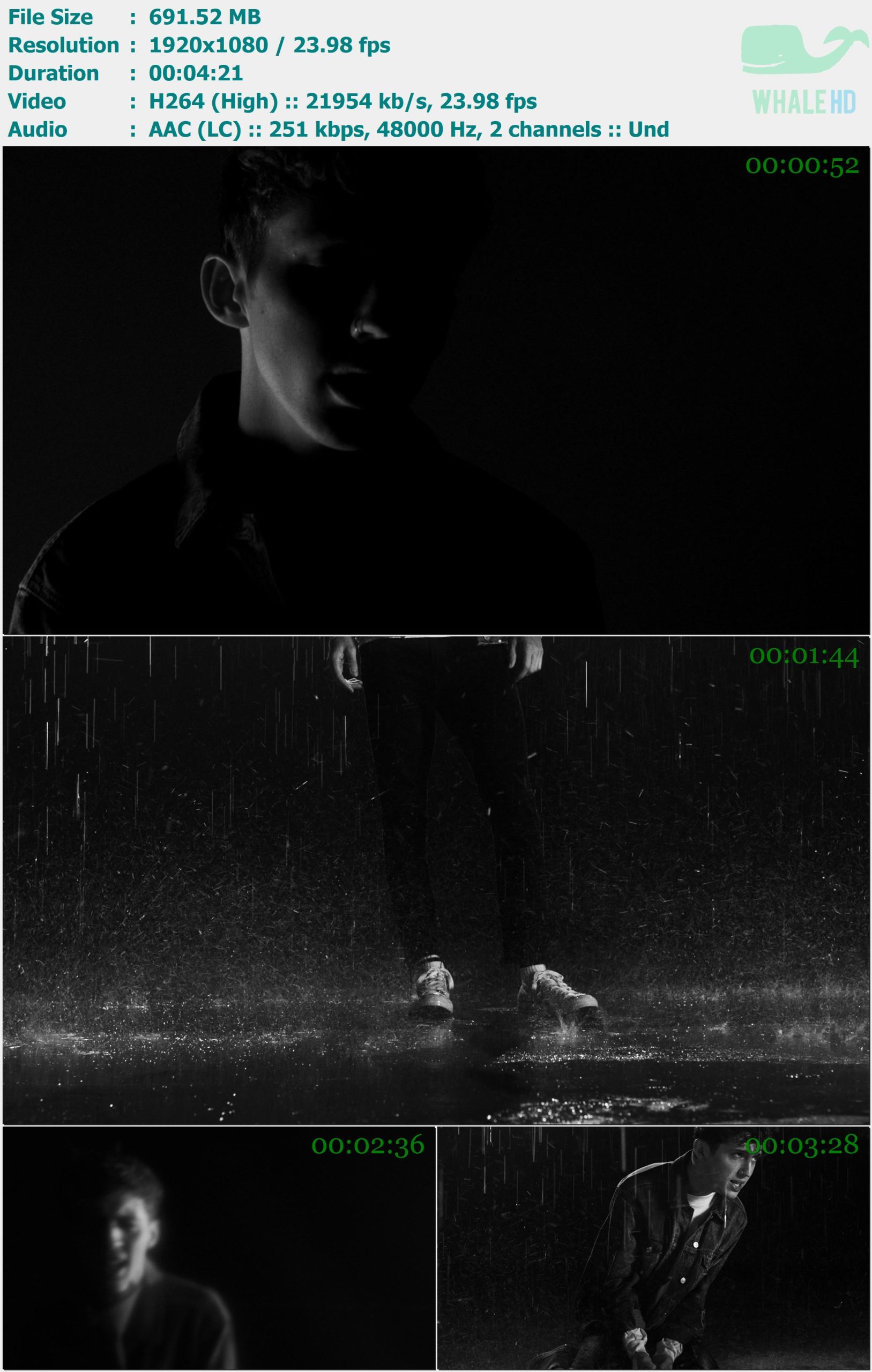 Troye Sivan feat. Betty Who - HEAVEN 2017 MasterRip 1080p H264 - 691.52MB
