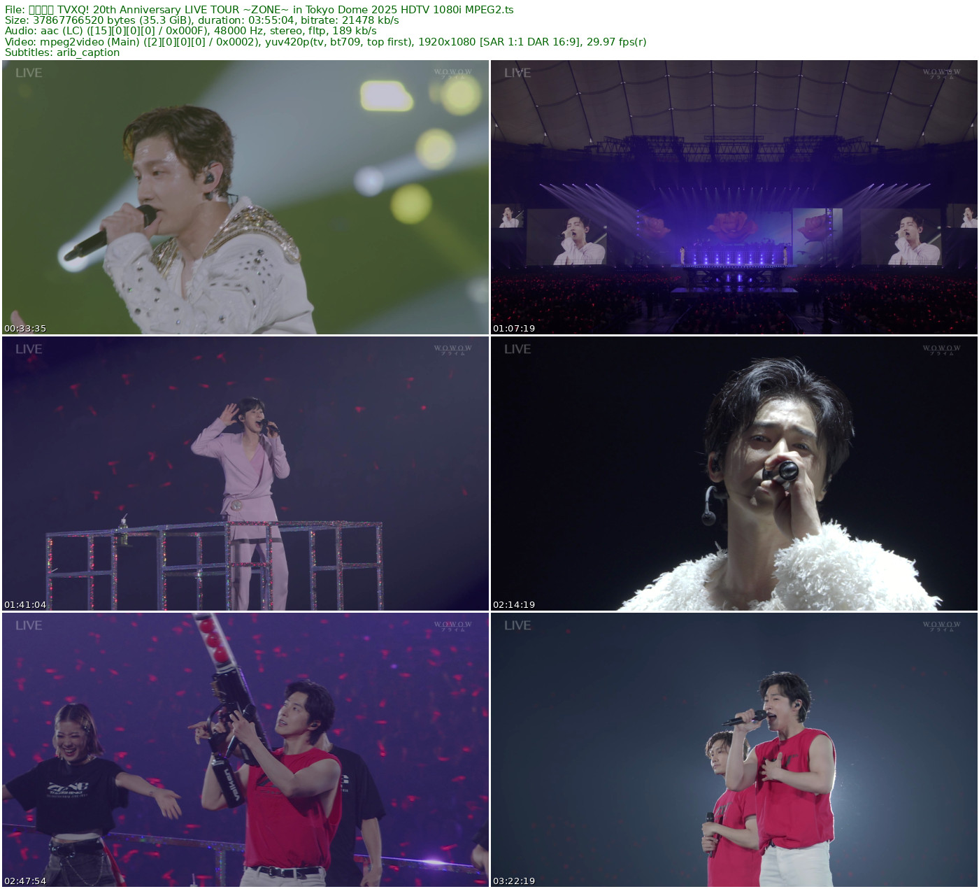 东方神起 TVXQ! 20th Anniversary LIVE TOUR ~ZONE~ in Tokyo Dome 2025 HDTV 1080i MPEG2 - 28.51GB