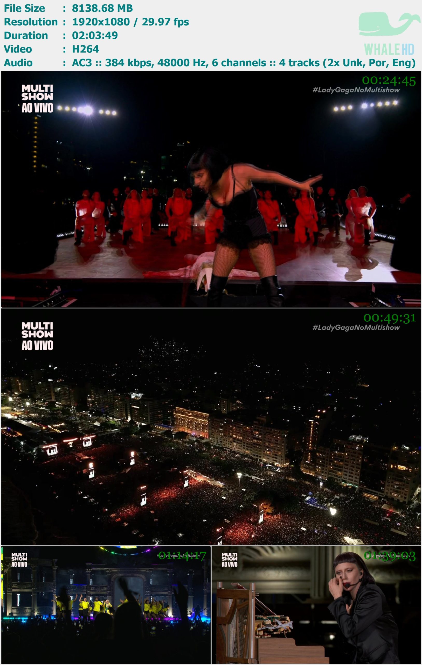 Lady Gaga - Mayhem On The Beach 巴西 2025 HDTV 1080i H264 - 8.23GB+7.95GB+17.30GB+18.75GB