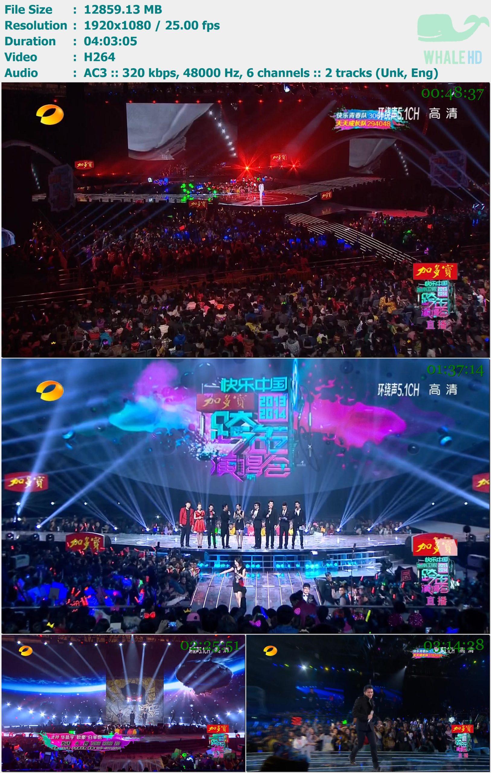 2013-2014湖南卫视跨年演唱会 2013-12-31 HDTV 1080i H264 - 12.56GB