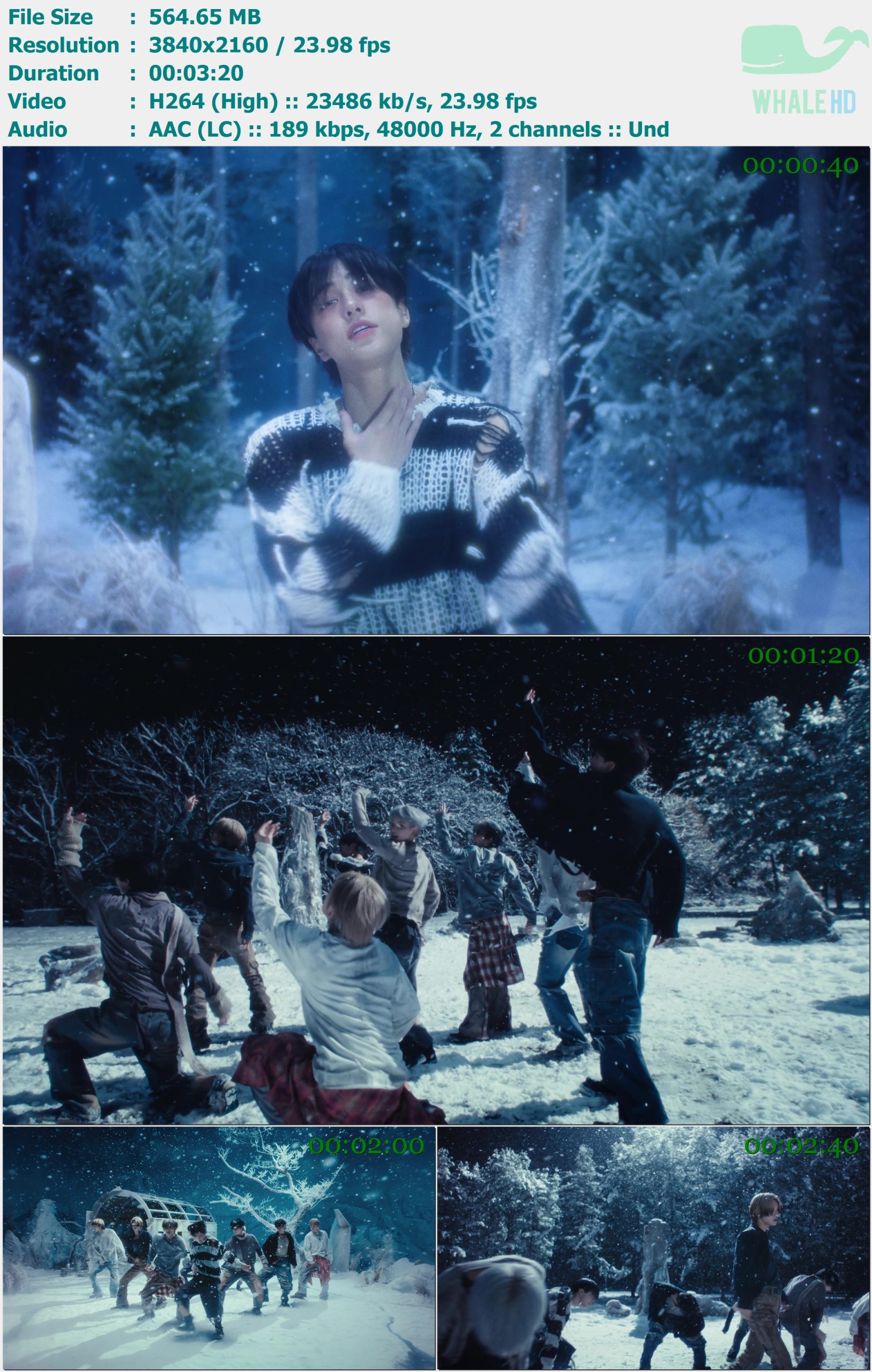 &TEAM - YUKIAKARI (PERFORMANCE VIDEO) 2024 WEB-DL 2160p H264 - 564.65MB