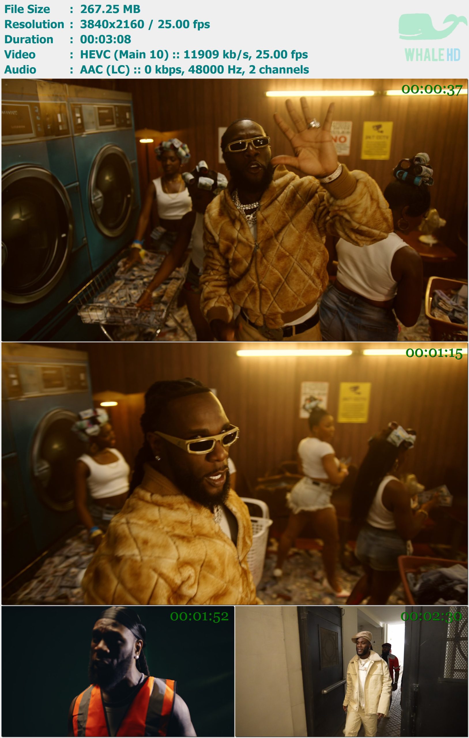 Burna Boy - Bundle By Bundle 2024 AM 2160p H265 - 267.25MB