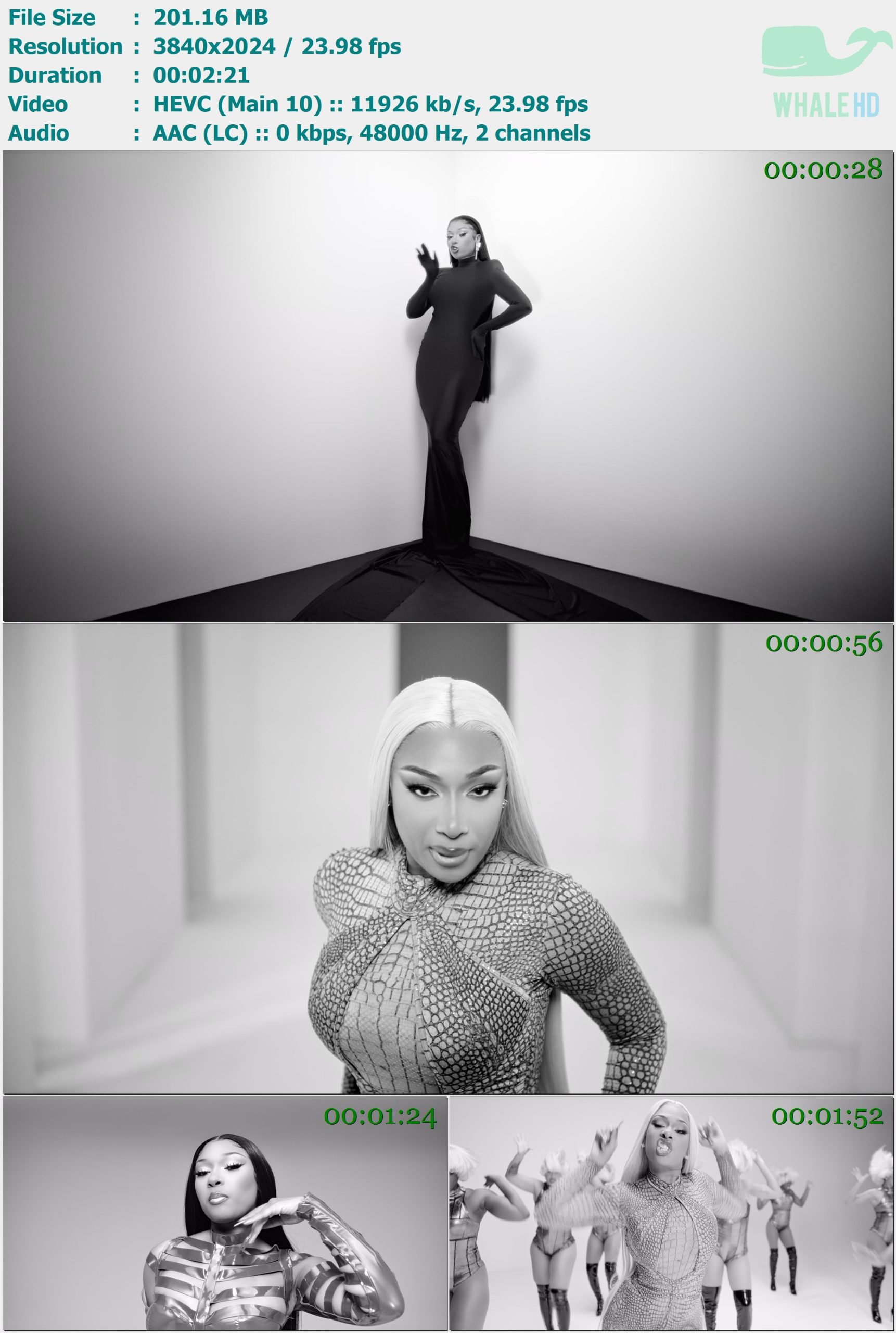 Megan Thee Stallion - Her 2022 AM 2024p H265 - 201.16MB