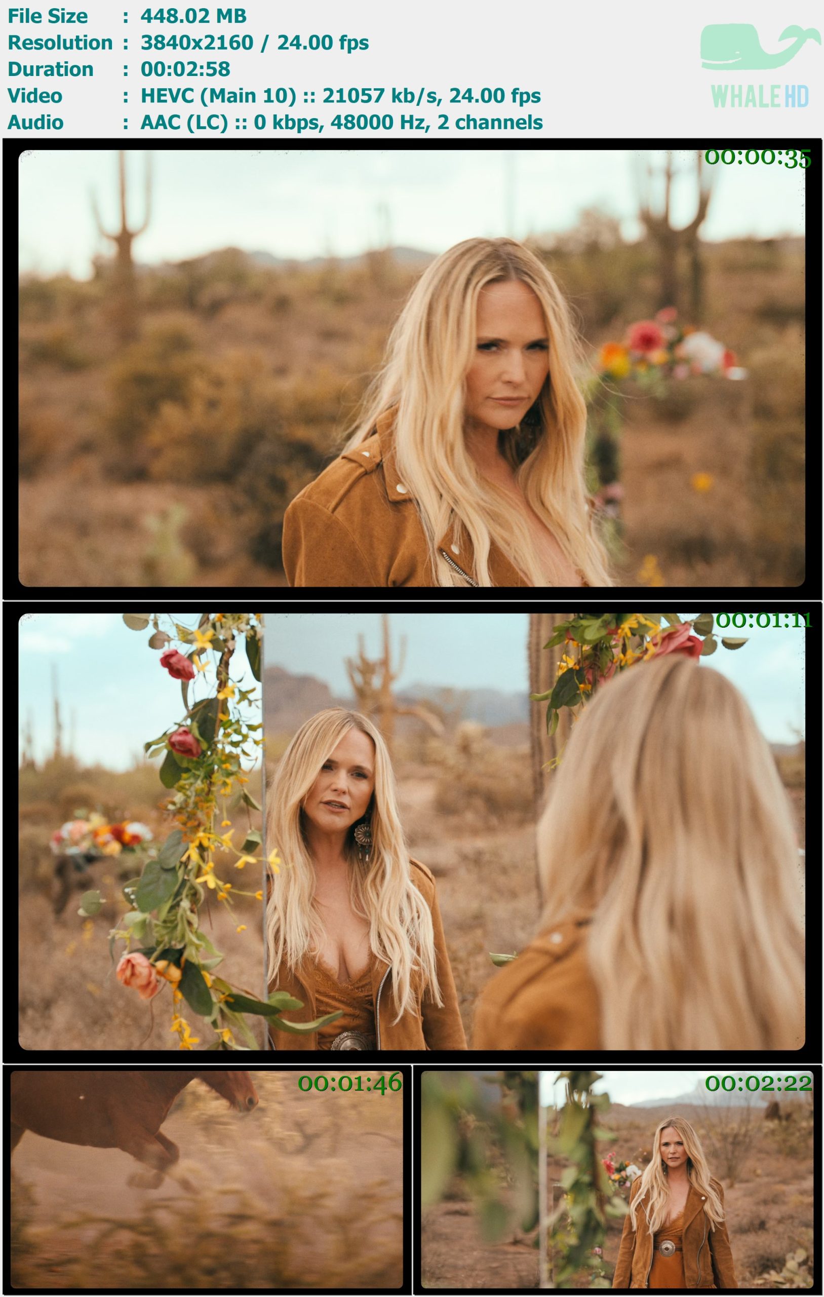 Miranda Lambert - Run 2025 AM 2160p H265 - 448.02MB