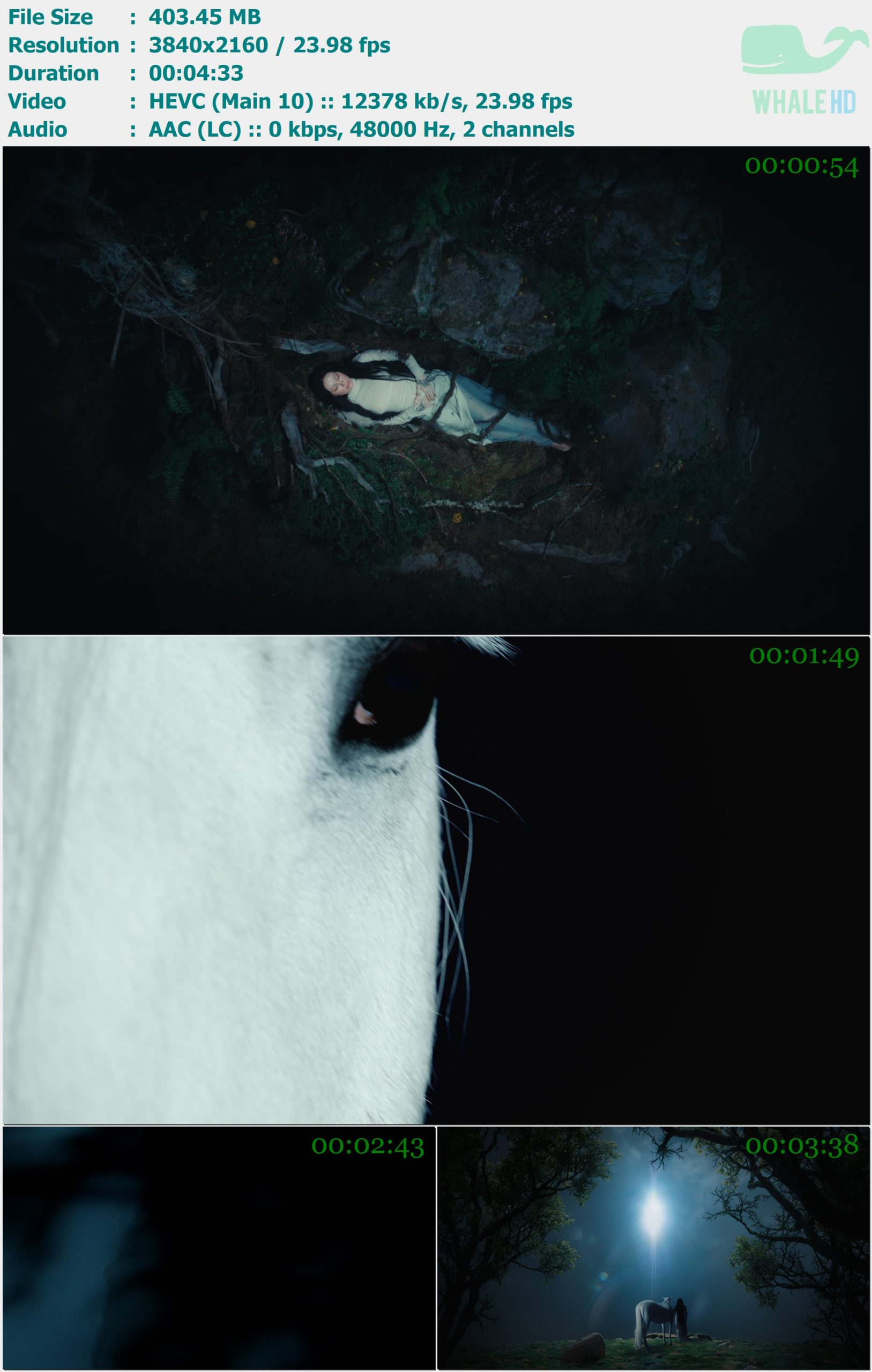 Noah Cyrus & Fleet Foxes - Don't Put It All On Me 2025 AM 2160p H265 - 403.45MB