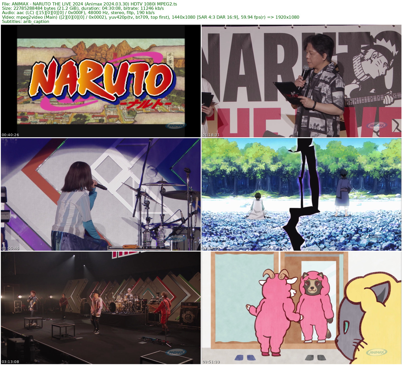 ANIMAX - NARUTO THE LIVE 2024 (Animax 2024.03.30) HDTV 1080i MPEG2 - 21.22GB