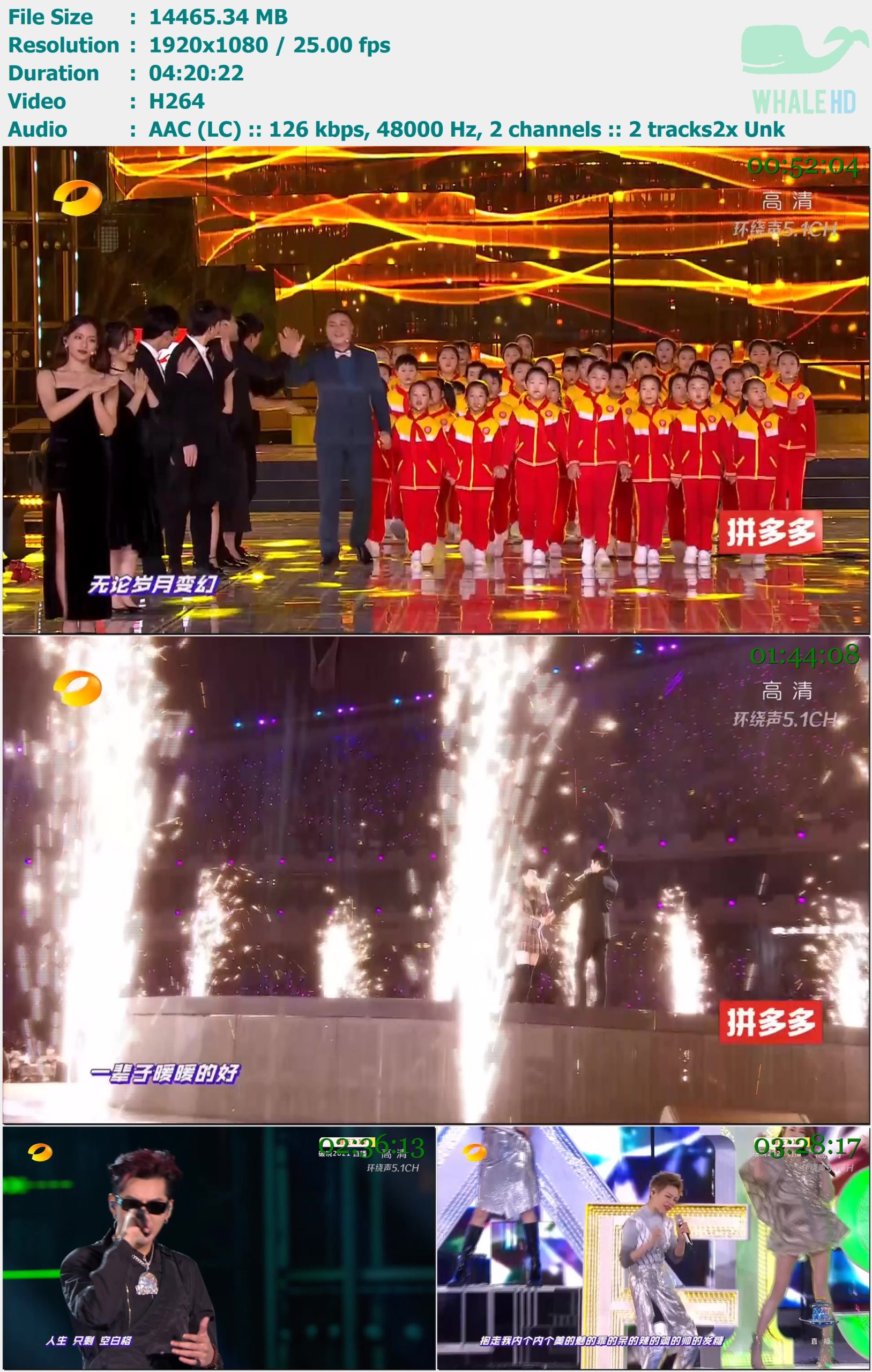 湖南卫视2021年跨年演唱会 2020-12-31 HDTV 1080i H264 - 14.13GB