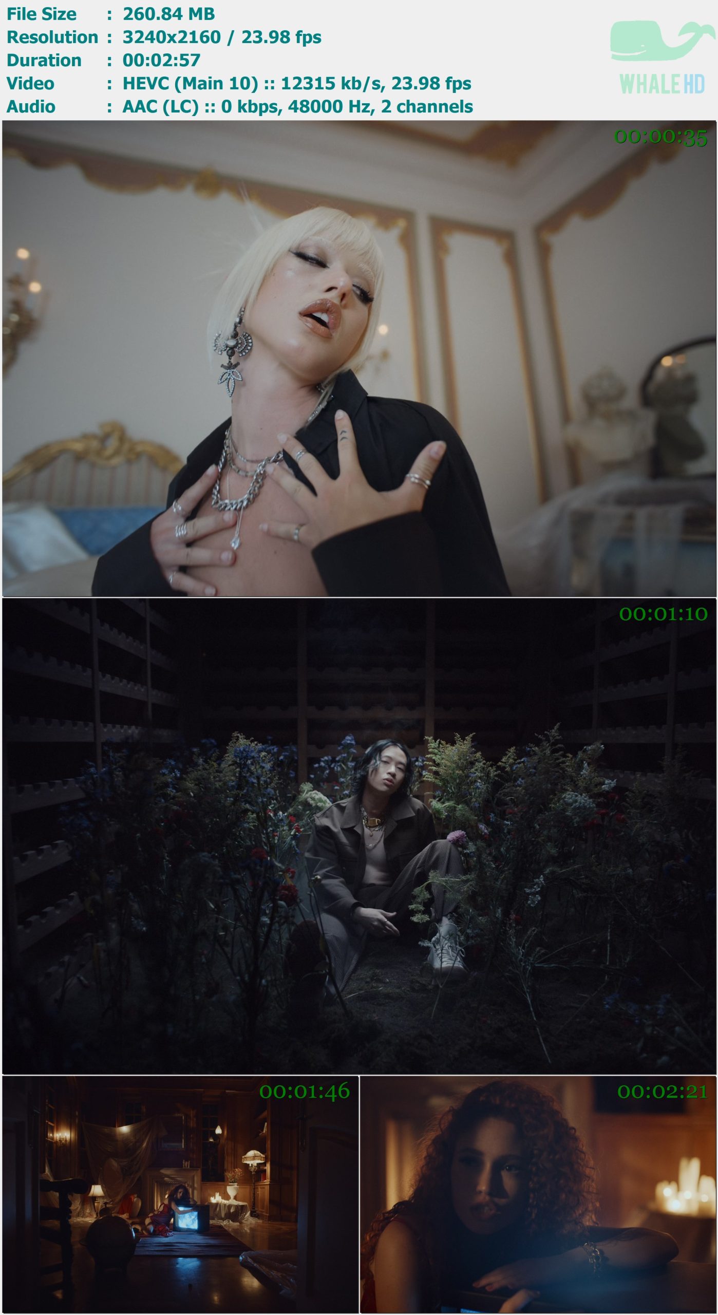 keshi - SOMEBODY 2022 AM 2160p H265 - 260.84MB