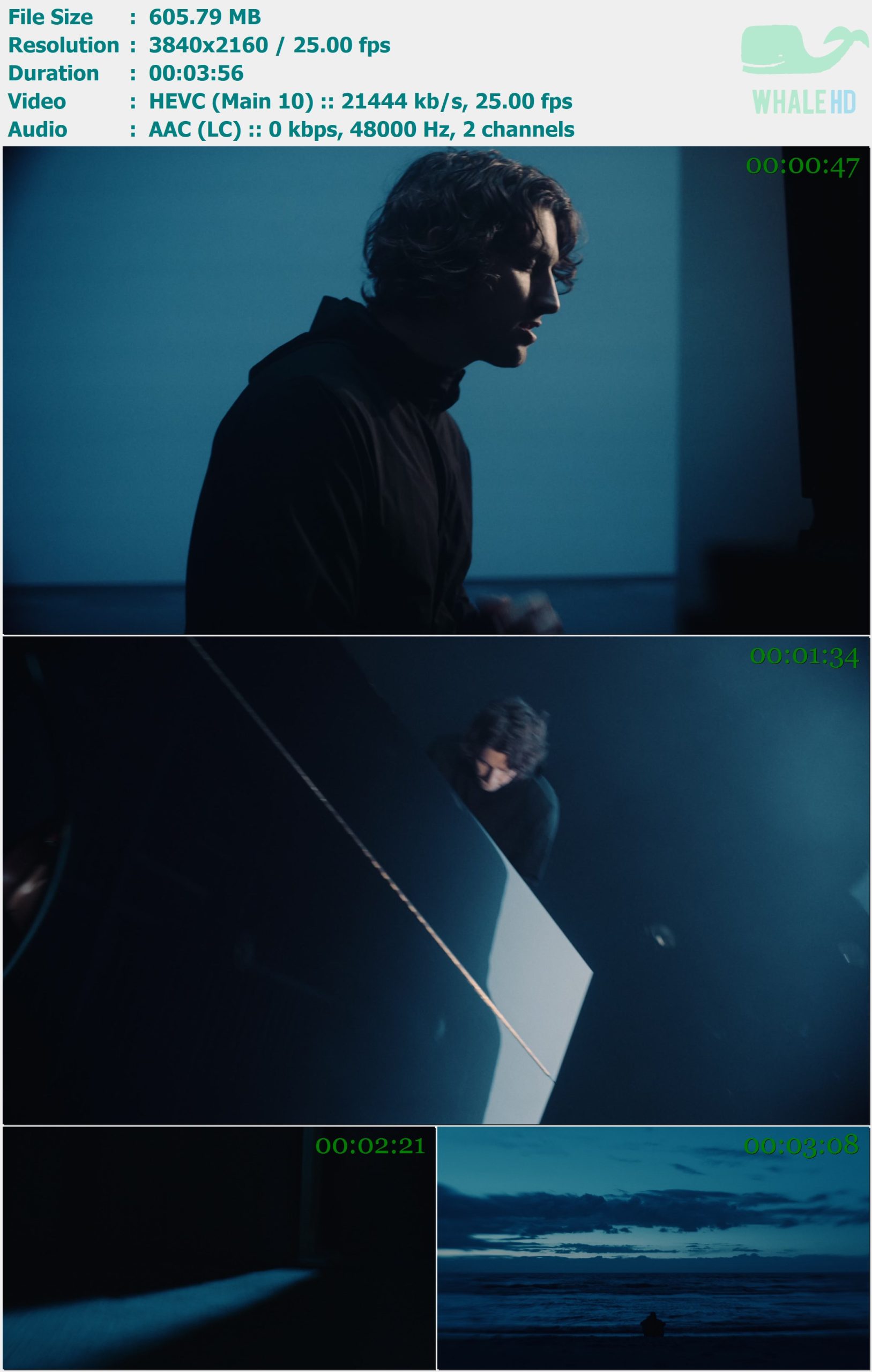 Martin Garrix & Dean Lewis - Used To Love 2019 AM 2160p H265 - 605.79MB