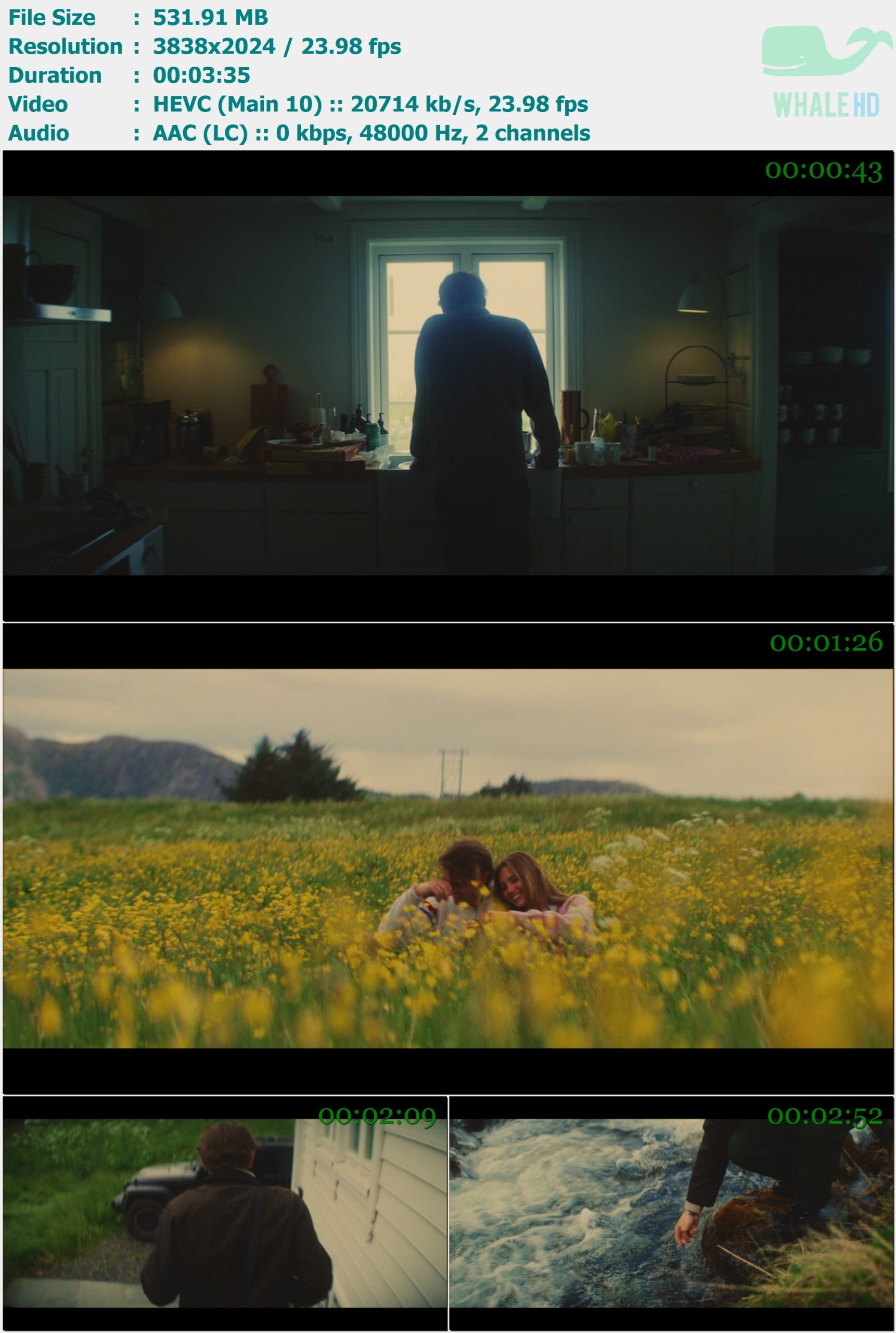 Martin Garrix & DubVision - Wherever You Are (feat. Shaun Farrugia) 2024 AM 2024p H265 - 531.91MB