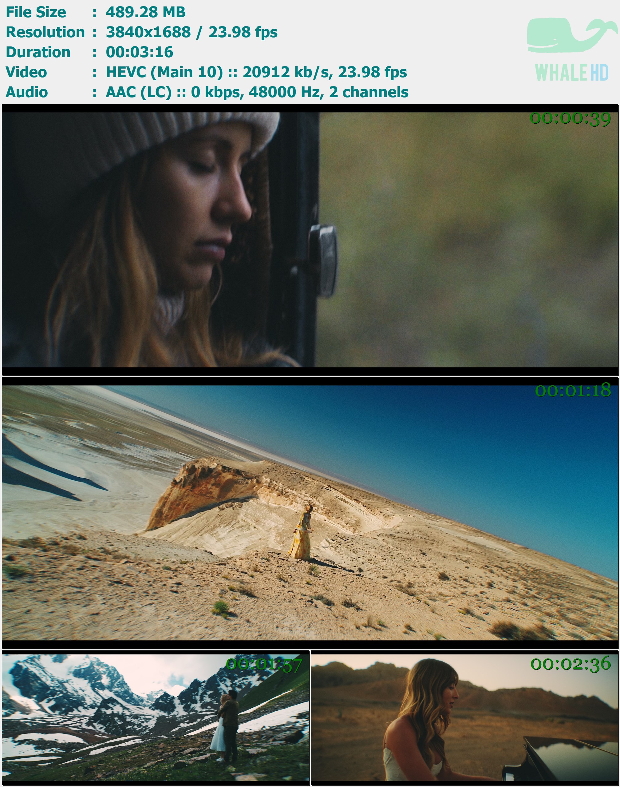 Martin Garrix & Jex - Told You So 2024 AM 1688p H265 - 489.28MB