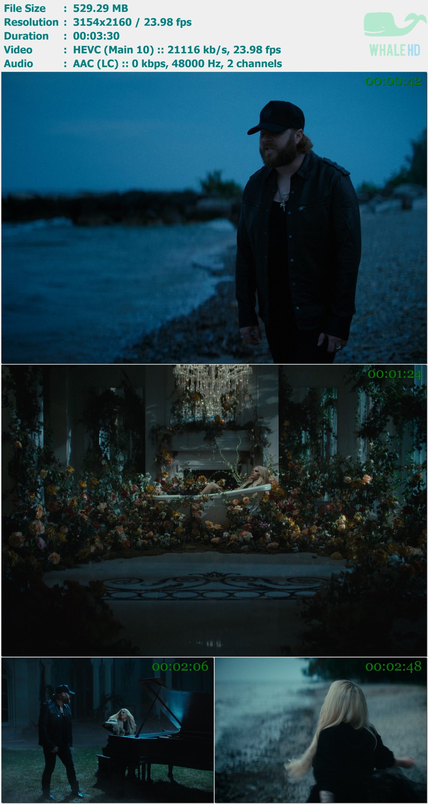 Nate Smith & Avril Lavigne 艾薇儿 - Can You Die From a Broken Heart 2024 AM 2160p H265 - 529.29MB