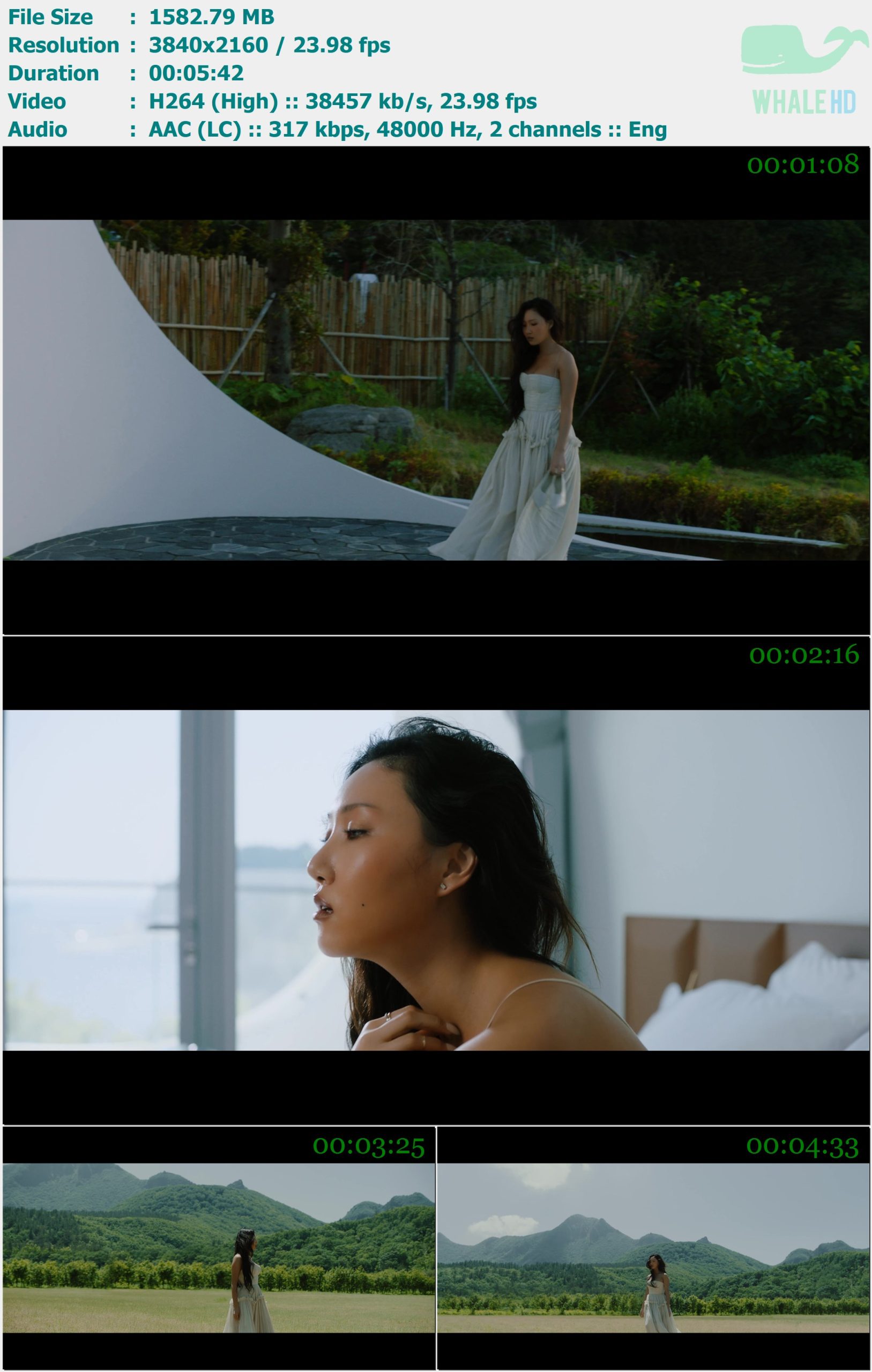 HWASA - LMM 2020 Bugs! 2160p H264 - 1.55GB