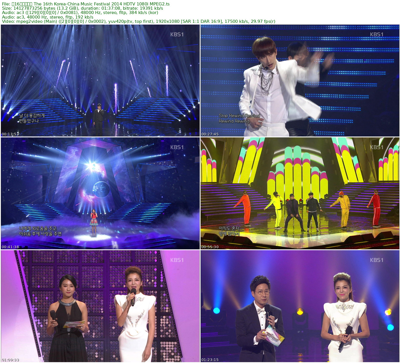 第16届中韩歌会 The 16th Korea-China Music Festival 2014 HDTV 1080i MPEG2 - 13.16GB