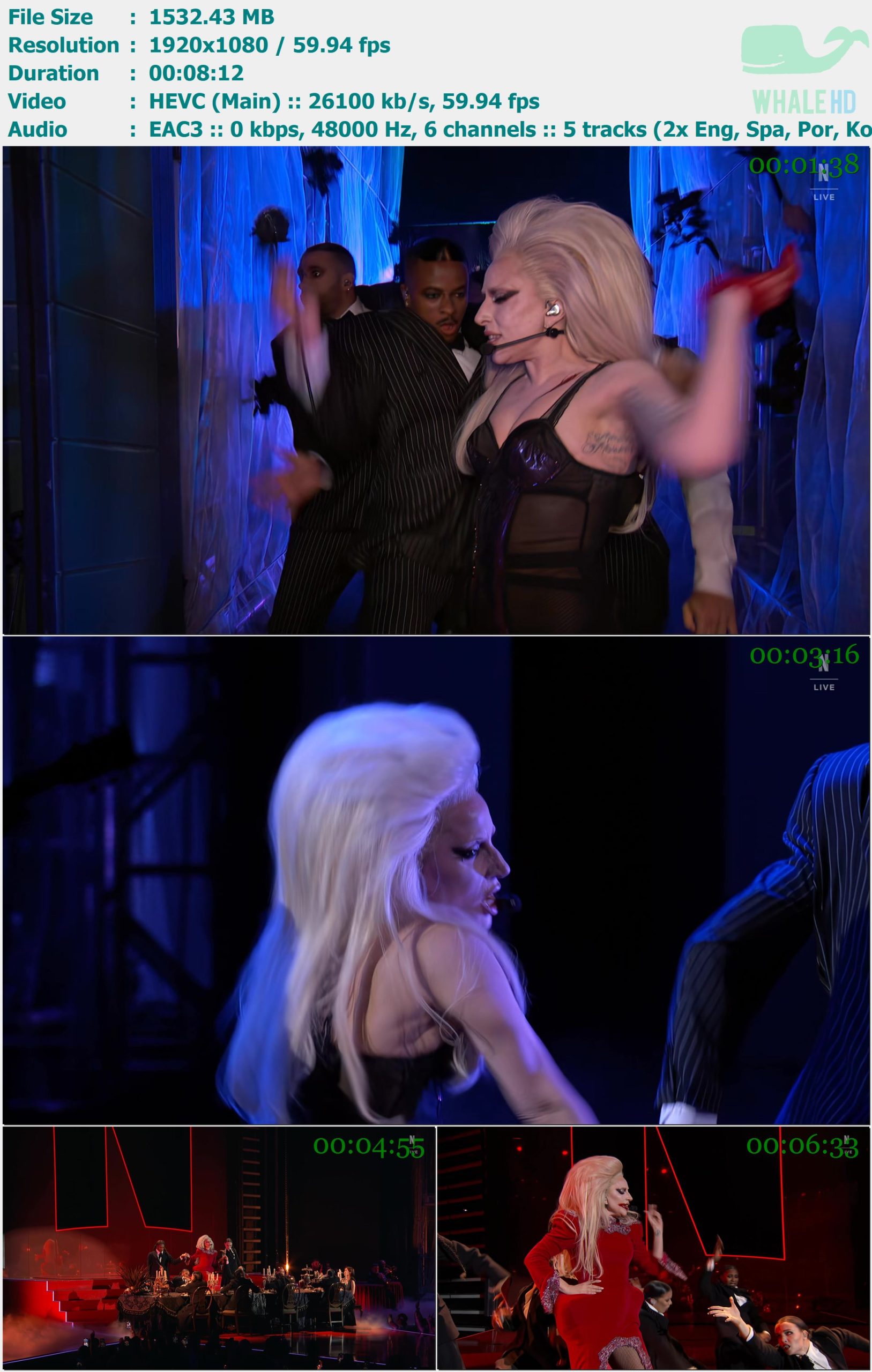 Lady Gaga - Netflix TUDUM 2025 WEBRip 1080p H265 - 1.50GB