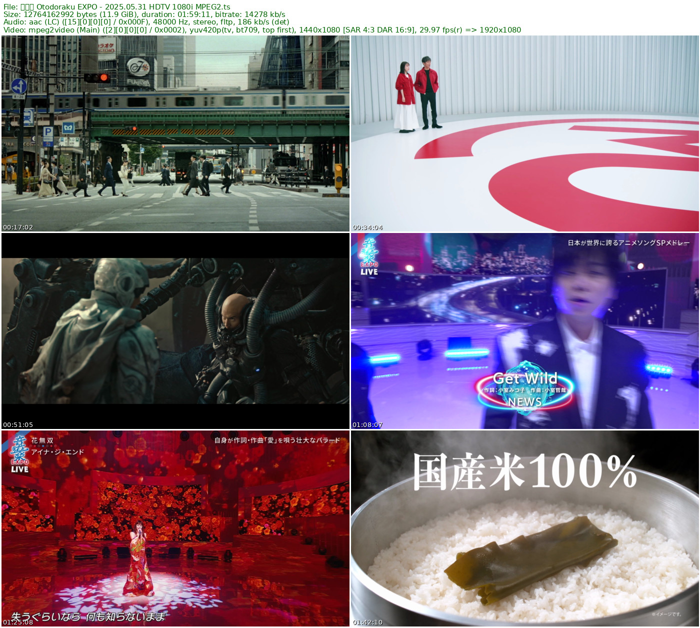 音道楽 Otodoraku EXPO 2025.05.31 HDTV 1080i MPEG2 - 11.89GB