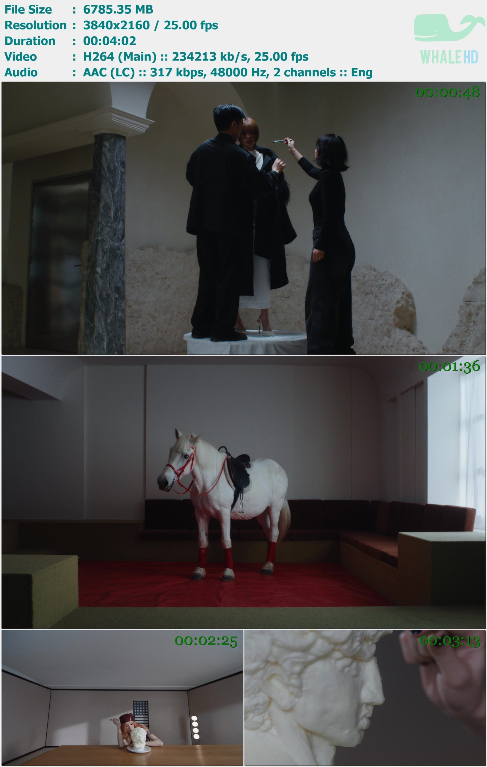 陈蕾 Panther Chan - 不明文規定 2025 MasterRip 2160p H264 - 6.63GB