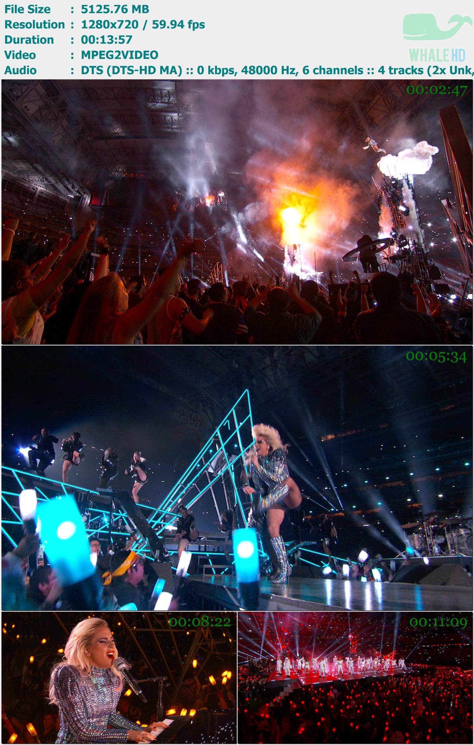Lady Gaga - Live @ Super Bowl LI Halftime Show 2017 FEED 720p MPEG2 - 5.01GB