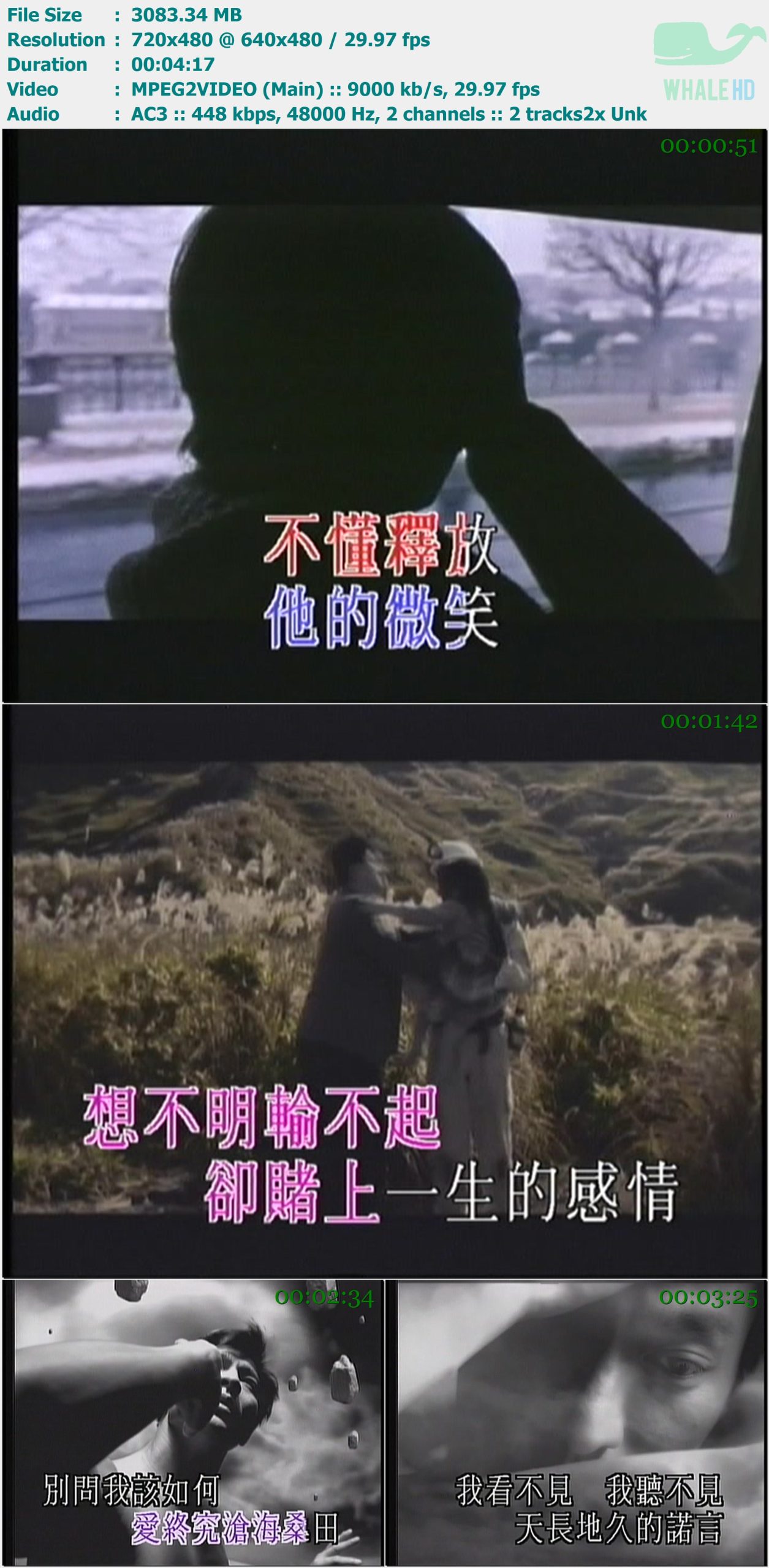 刘德华 - 原人原唱MTV卡拉OK专辑 LD→DVD 480i MPEG2 - 6.37GB