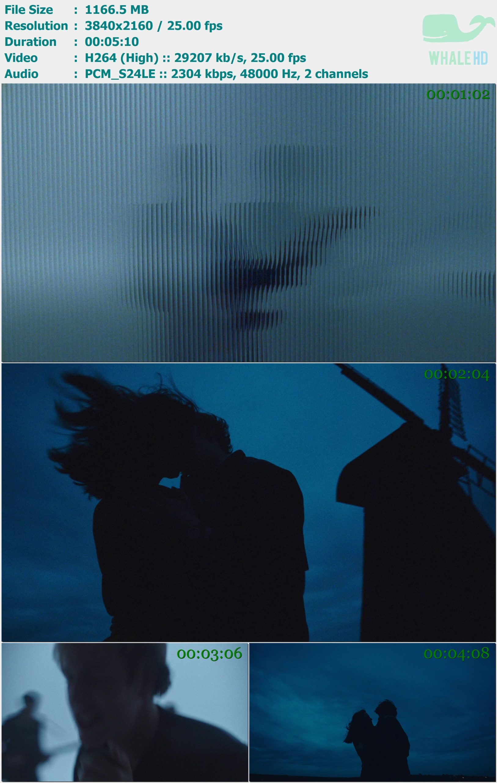 Tom Odell - Don't Let Me Go 2025 MasterRip 2160p H264 - 1.14GB