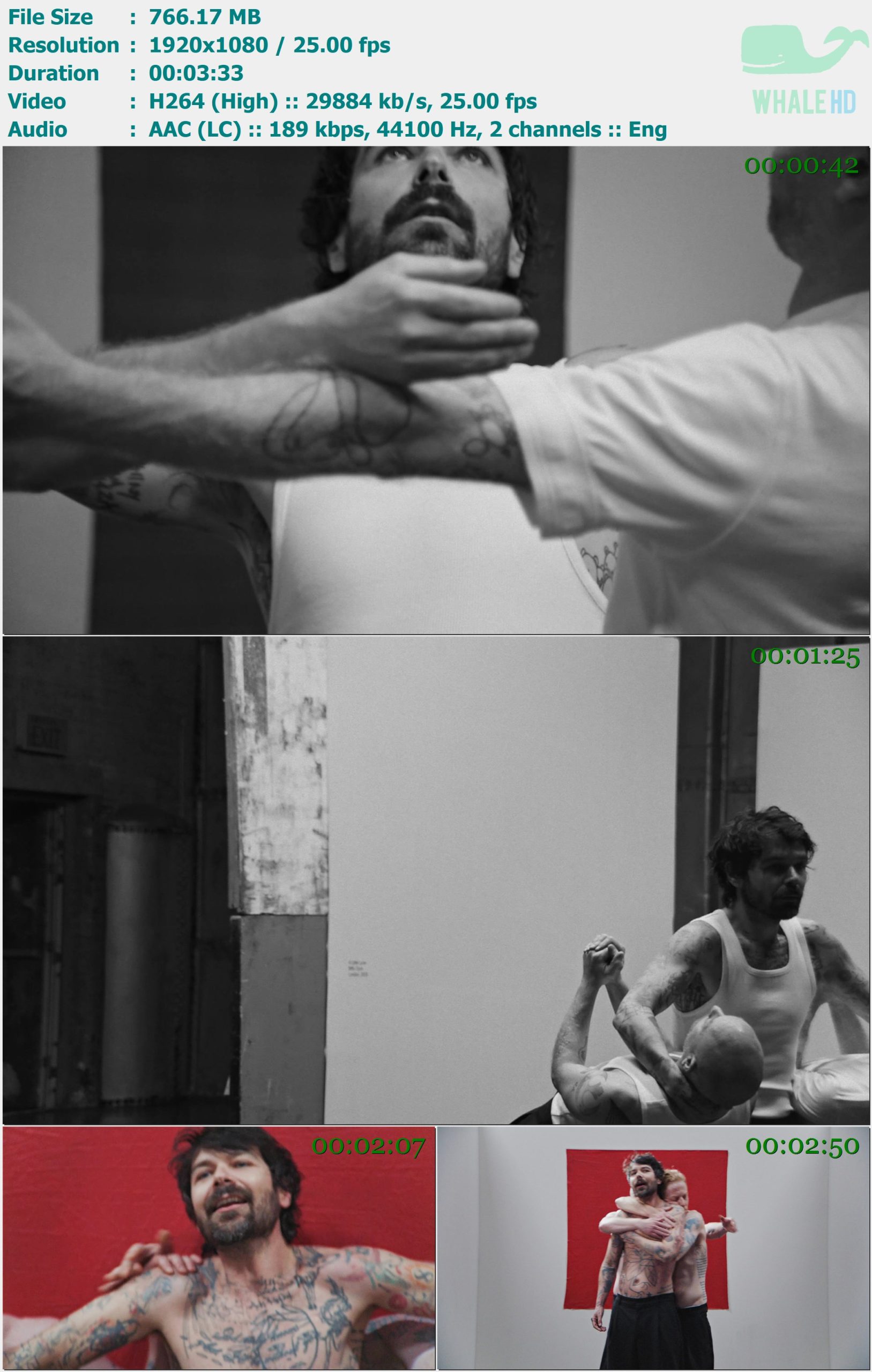 Biffy Clyro - A Little Love 2025 MasterRip 1080p H264 - 766.17MB