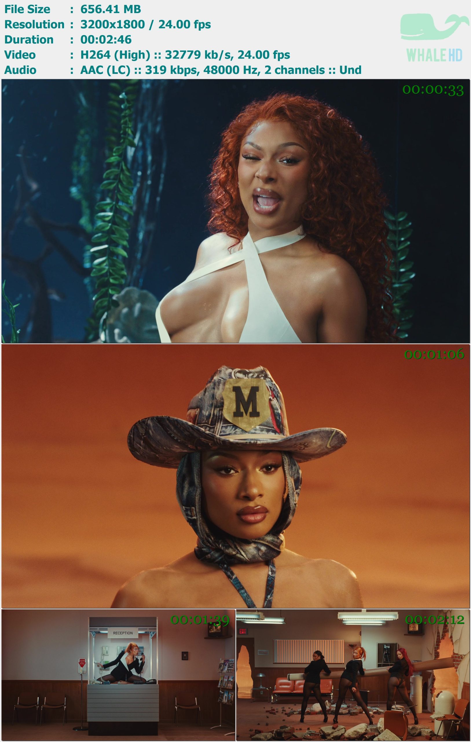 Megan Thee Stallion - Whenever 2025 MasterRip 1800p H264 - 656.41MB