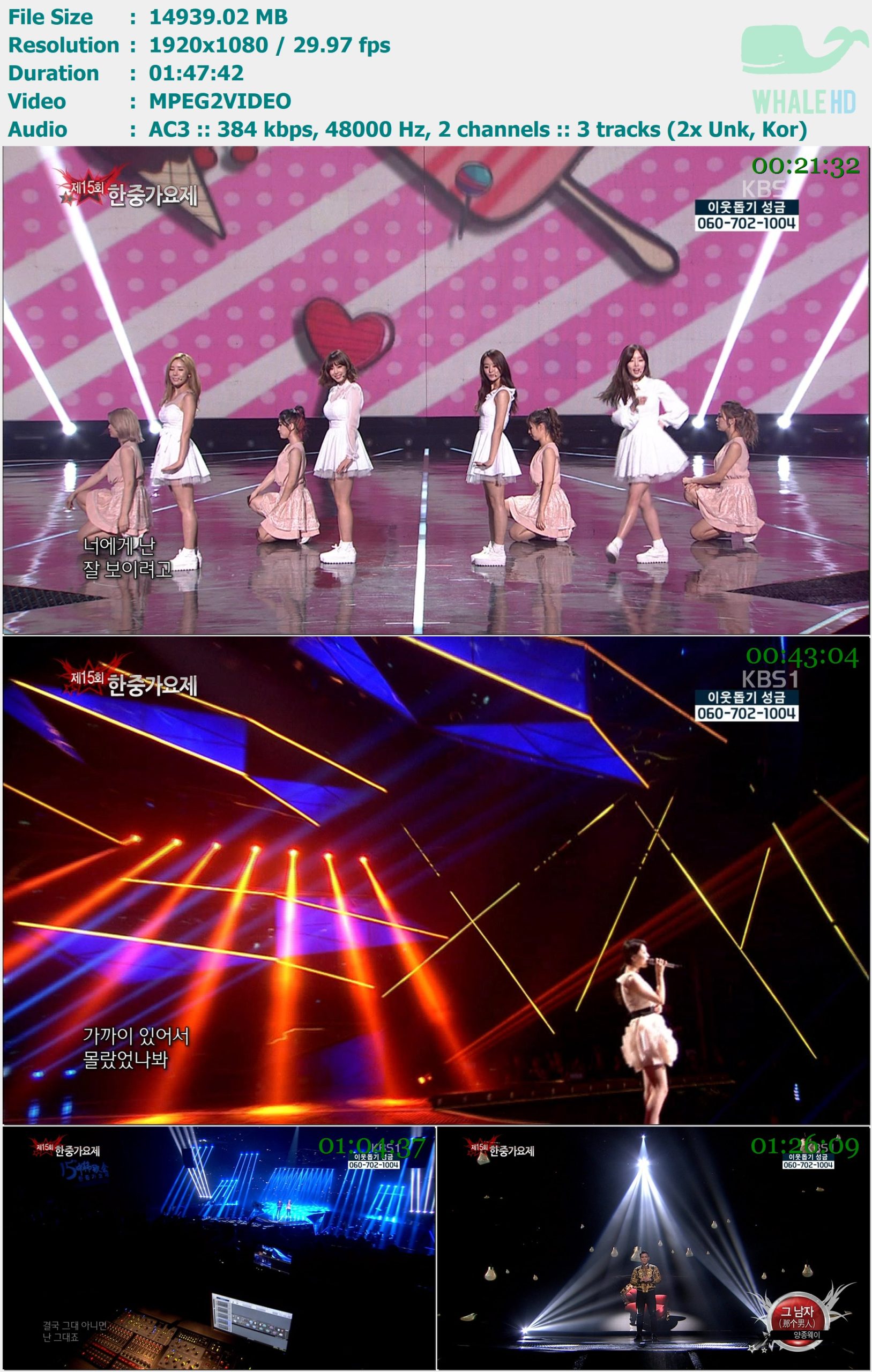 第15届中韩歌会 The 15th Korea-China Music Festival 2013-12-15 HDTV 1080i MPEG2 - 14.59GB