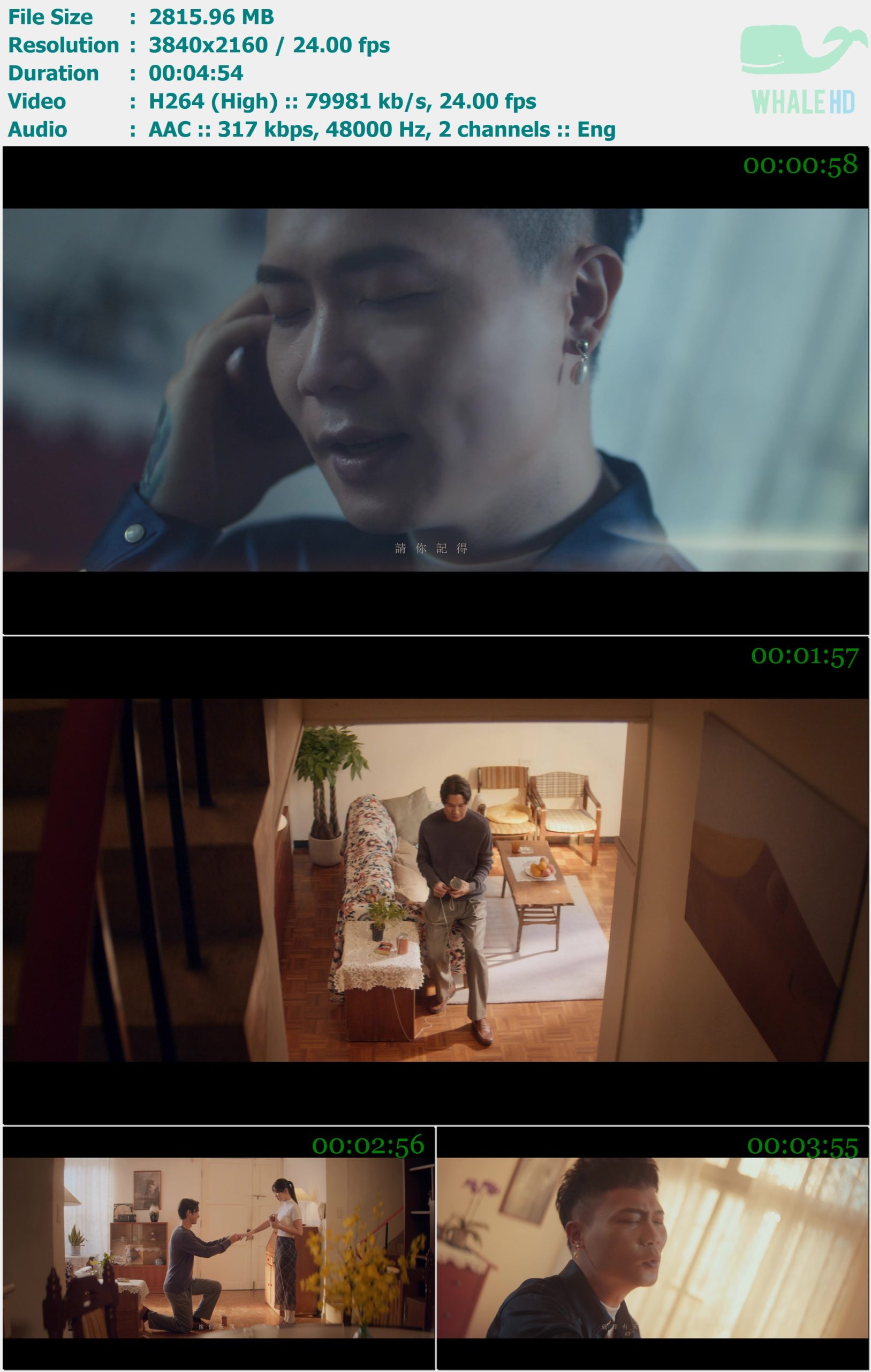 萧秉治 - 我对你的爱没有尽头 2024 MasterRip 2160p H264 - 2.75GB