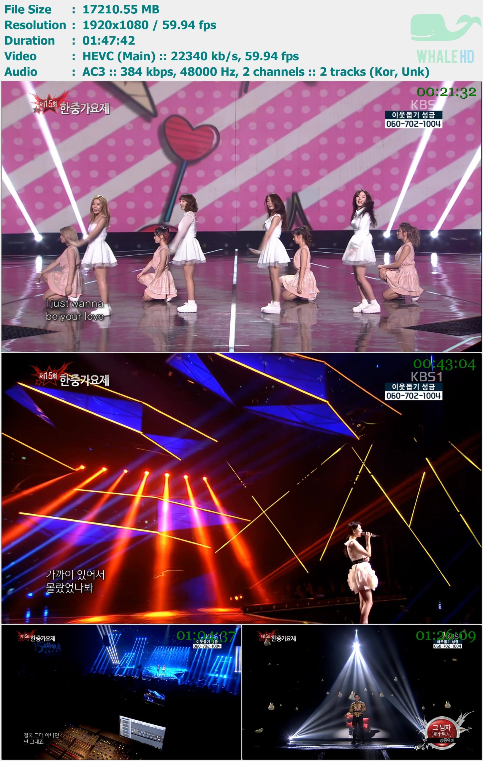 第15届中韩歌会 The 15th Korea-China Music Festival 2013-12-15 HDTVRip 1080p60 H265 - 16.81GB
