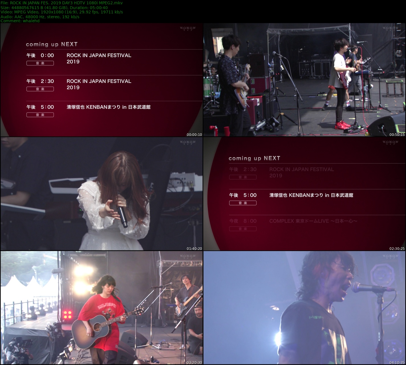 ROCK IN JAPAN FES. 2019 HDTV 1080i MPEG2 - 208.91GB