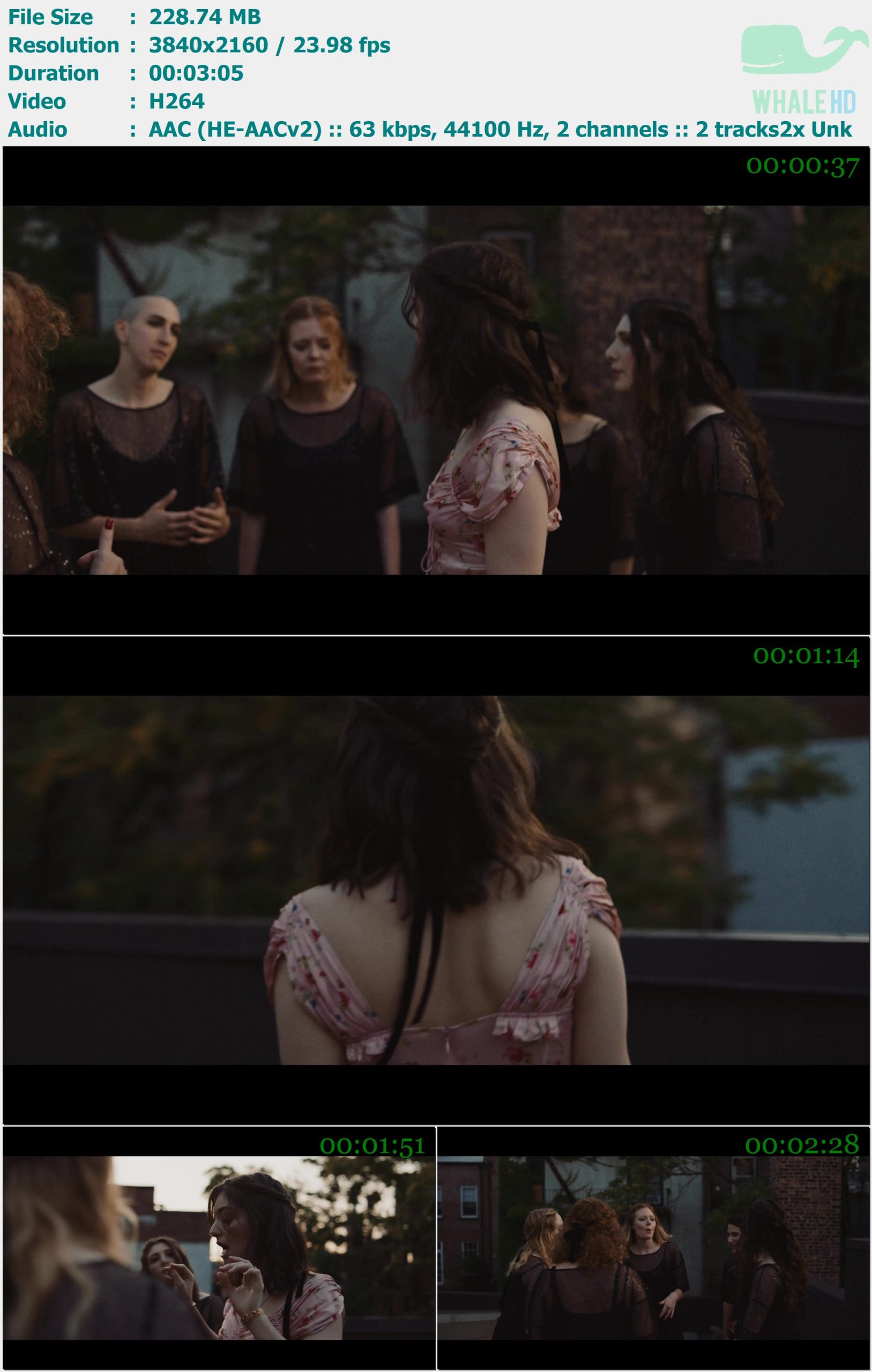 Lorde - Hard Feelings-Loveless (𝐕𝐄𝐕𝐎 x Lorde) 2017 WEB-DL 2160p H264 - 228.74MB