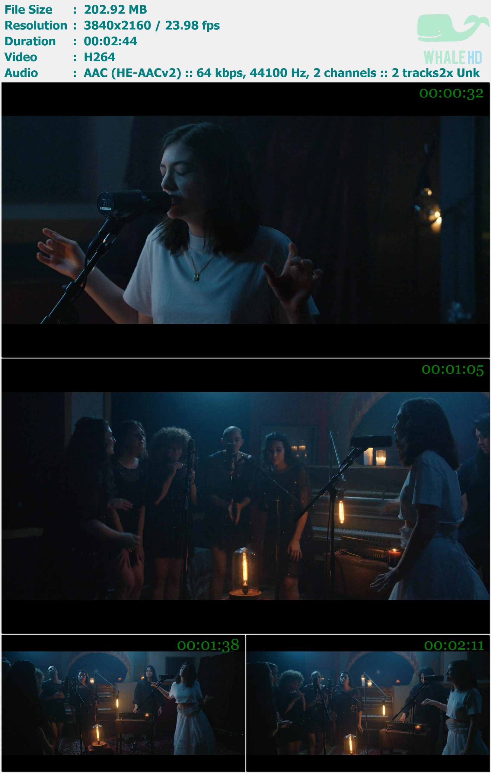 Lorde - Homemade Dynamite (𝐕𝐄𝐕𝐎 x Lorde) 2017 WEB-DL 2160p H264 - 202.92MB
