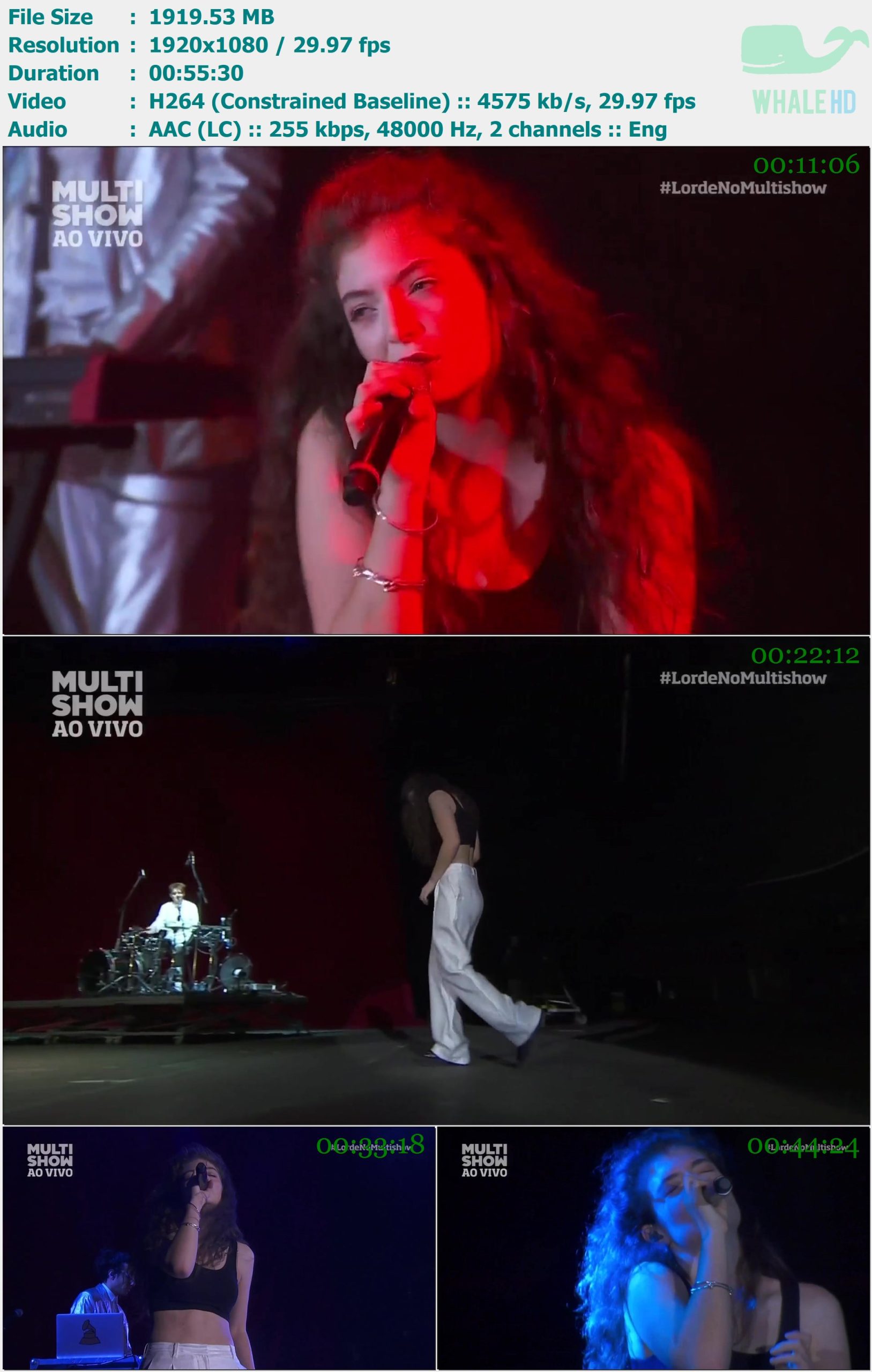 Lorde - Lollapalooza Brazil 2014 WEB-DL 1080p H264 - 1.87GB