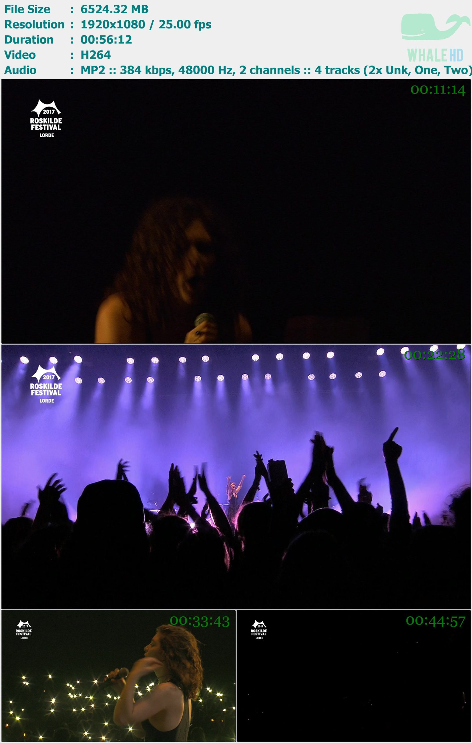 Lorde - Roskilde Festival 2017 FEED 1080i H264 - 6.37GB