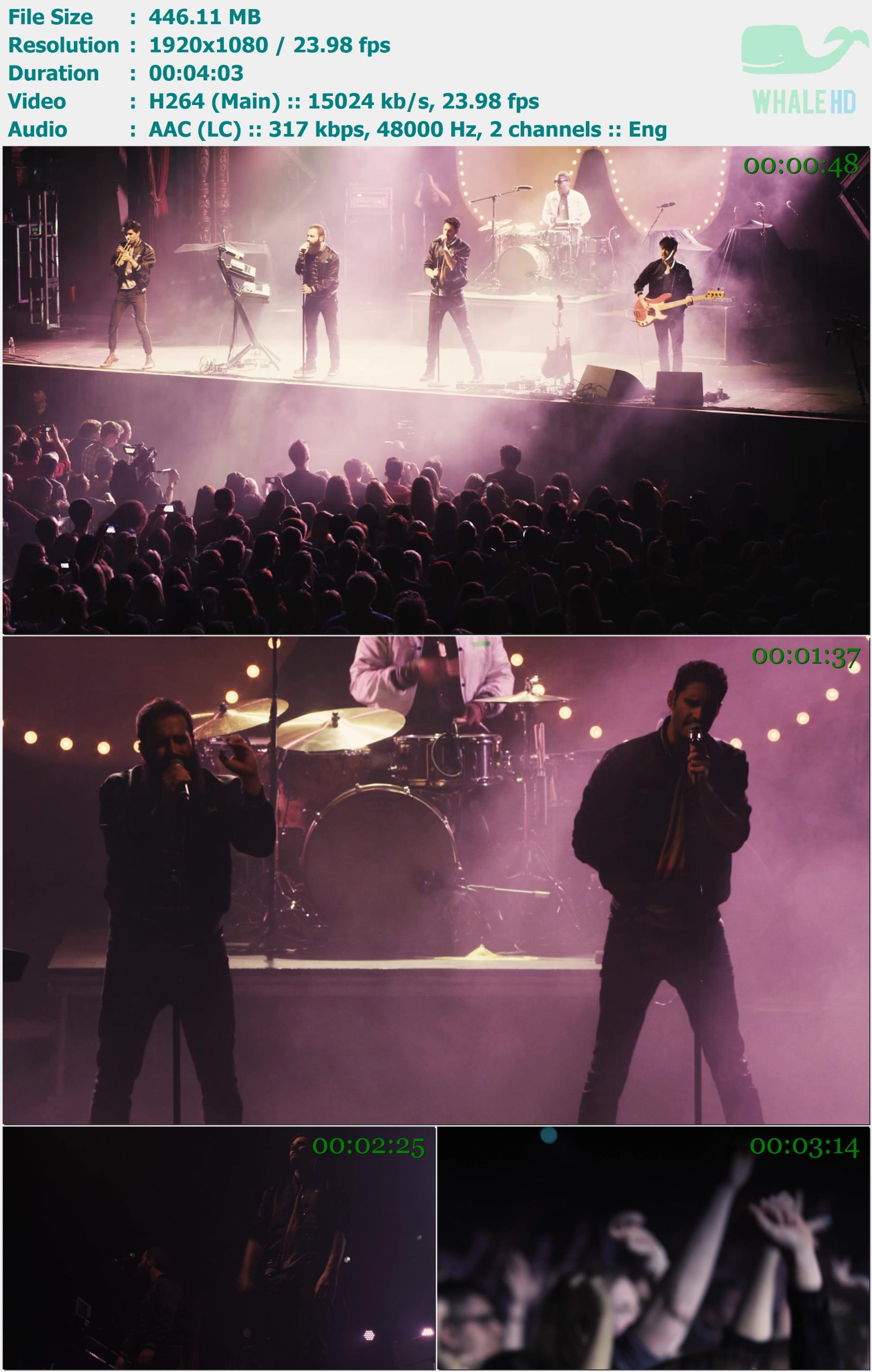 Capital Cities - I Sold My Bed, But Not My Stereo (Live from the Aragon - Chicago, Il 2013) MasterRip 1080p H264 - 446.11MB
