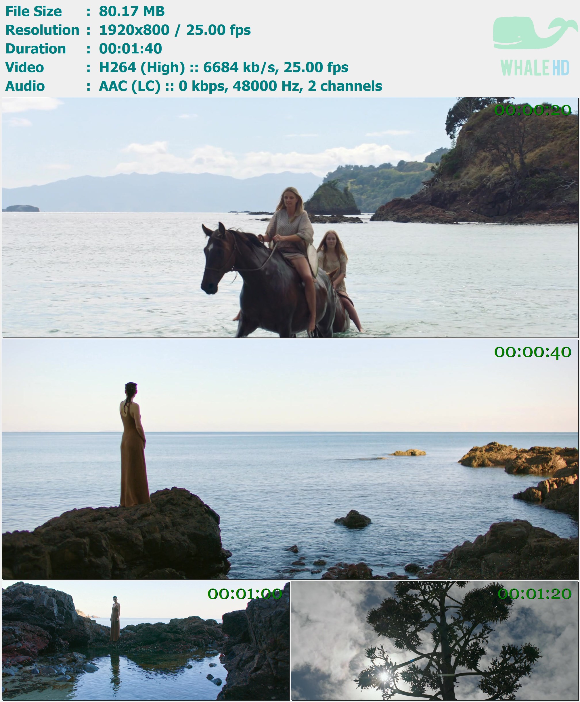 Lorde - Leader of a New Regime 2021 AM 800p H264 - 80.17MB