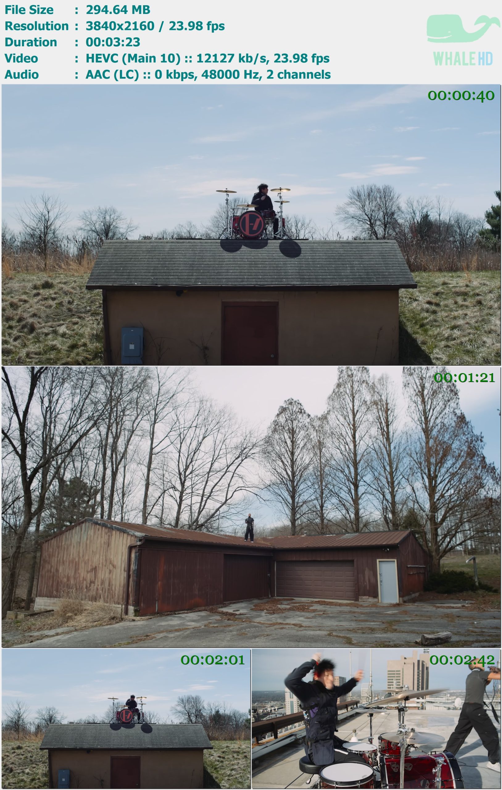 twenty one pilots - At The Risk Of Feeling Dumb 2024 AM 2160p H265 - 294.64MB