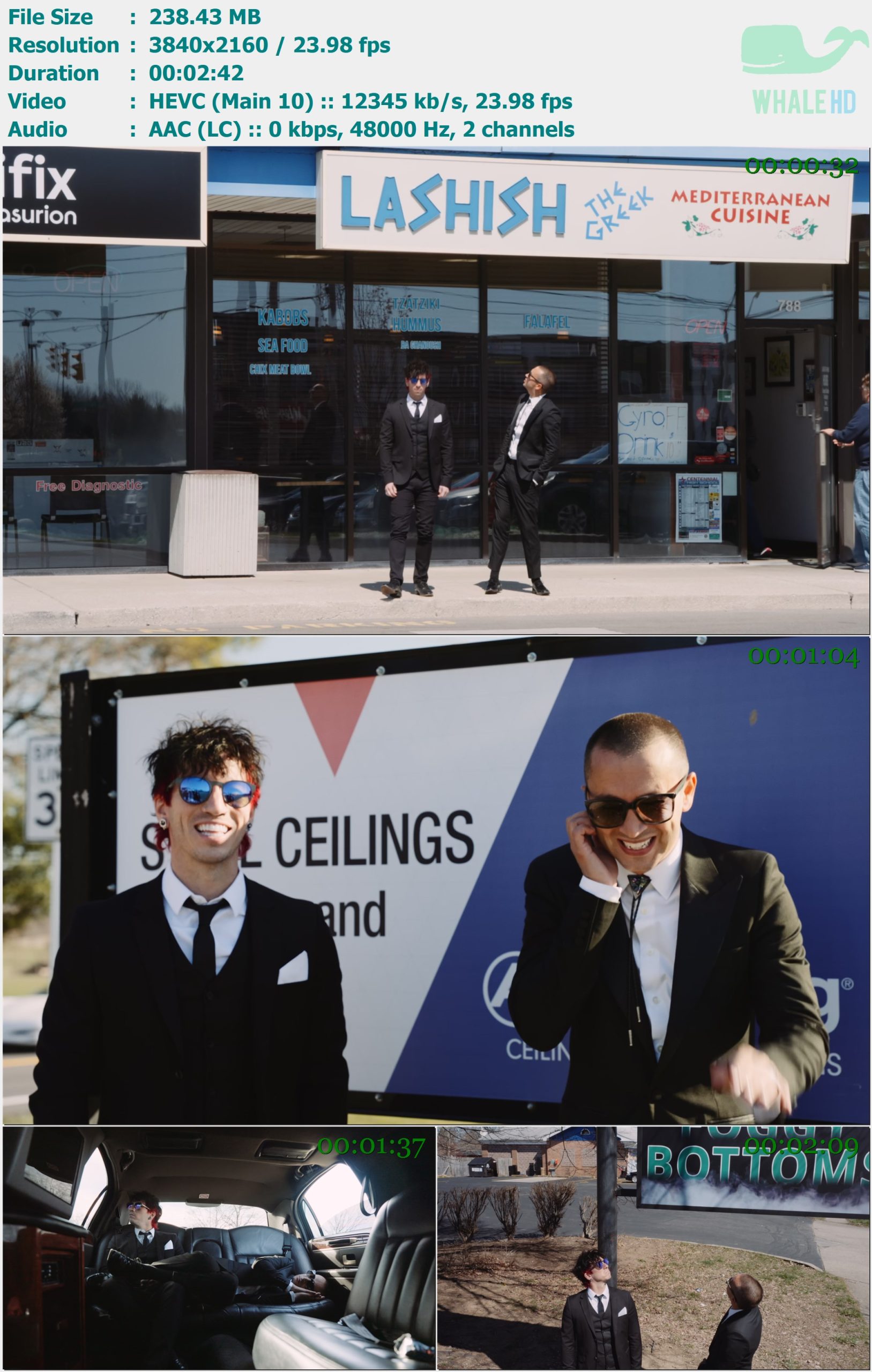 twenty one pilots - Lavish 2024 AM 2160p H265 - 238.43MB