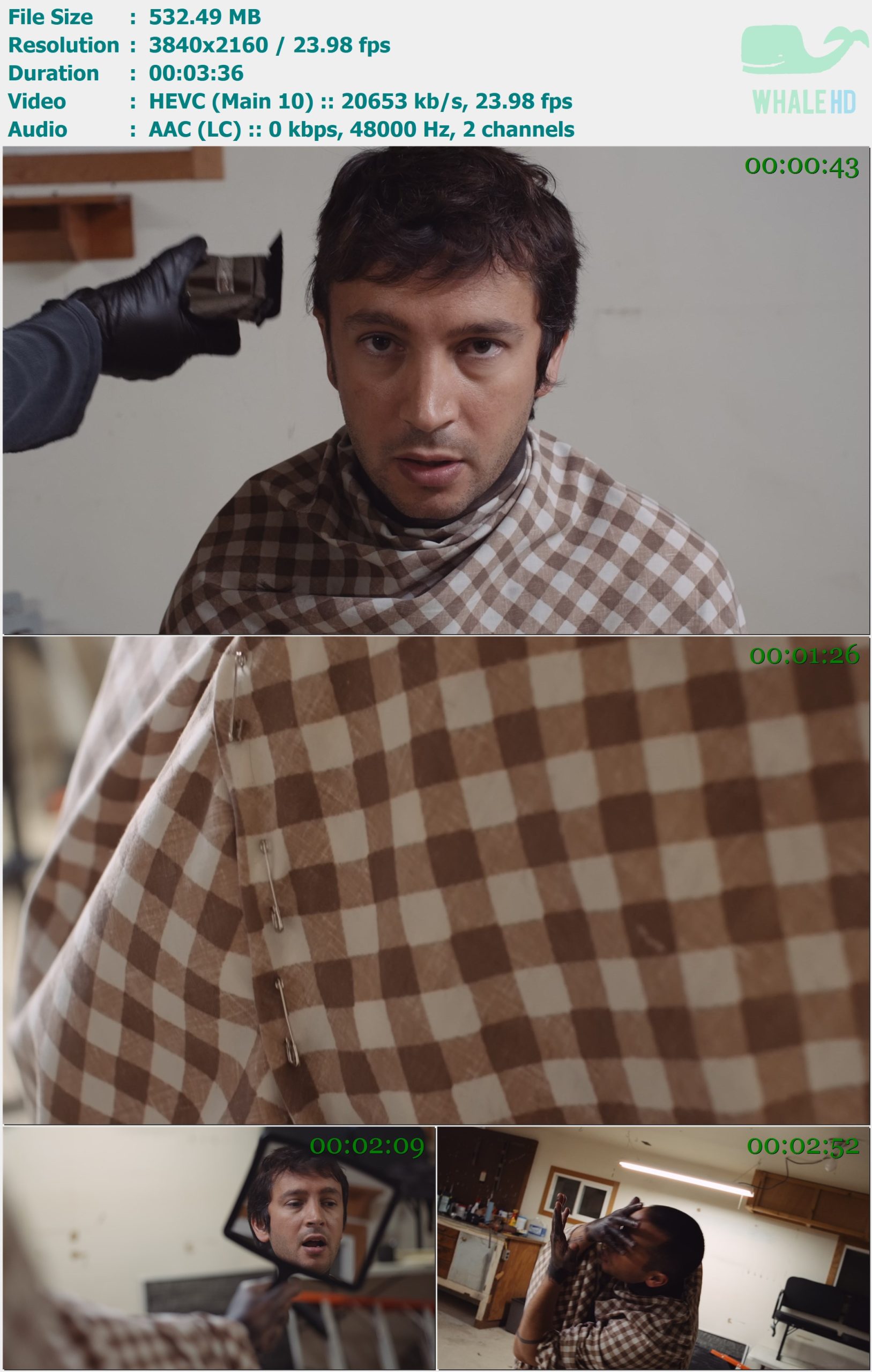 twenty one pilots - Snap Back 2024 AM 2160p H265 - 532.49MB