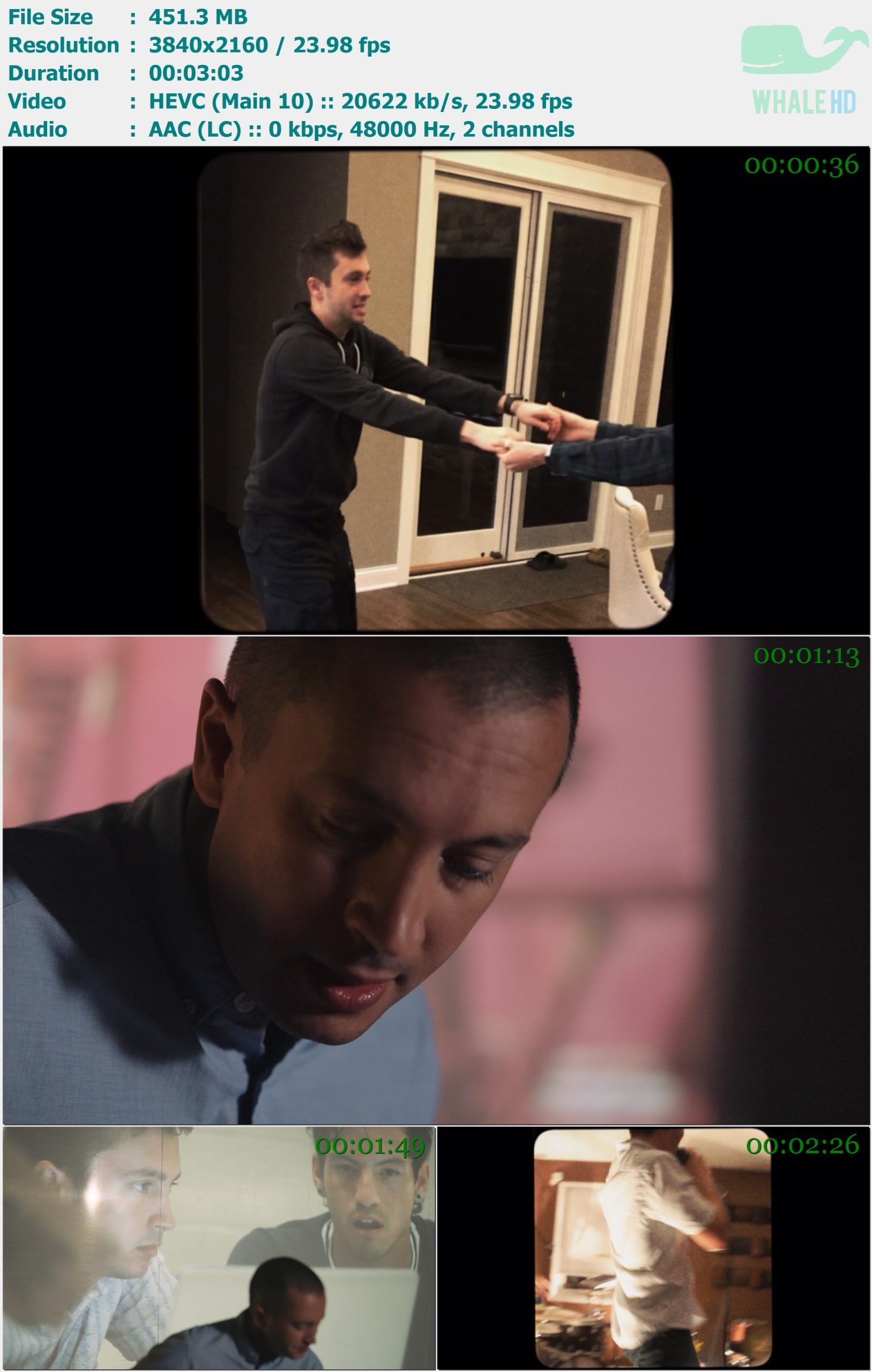 twenty one pilots - The Craving (Jenna's version) 2024 AM 2160p H265 - 451.30MB
