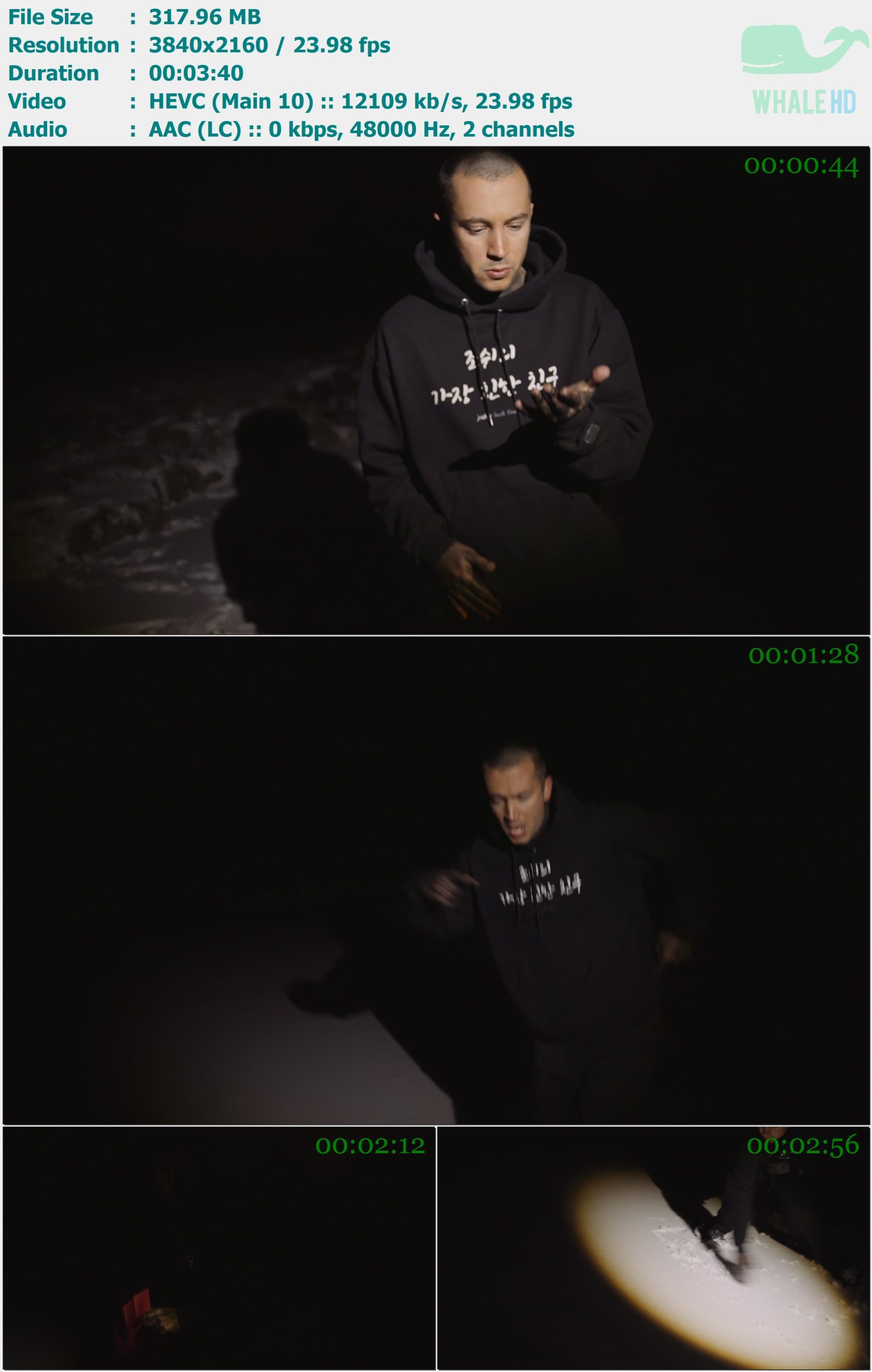 twenty one pilots - Vignette 2024 AM 2160p H265 - 317.96MB