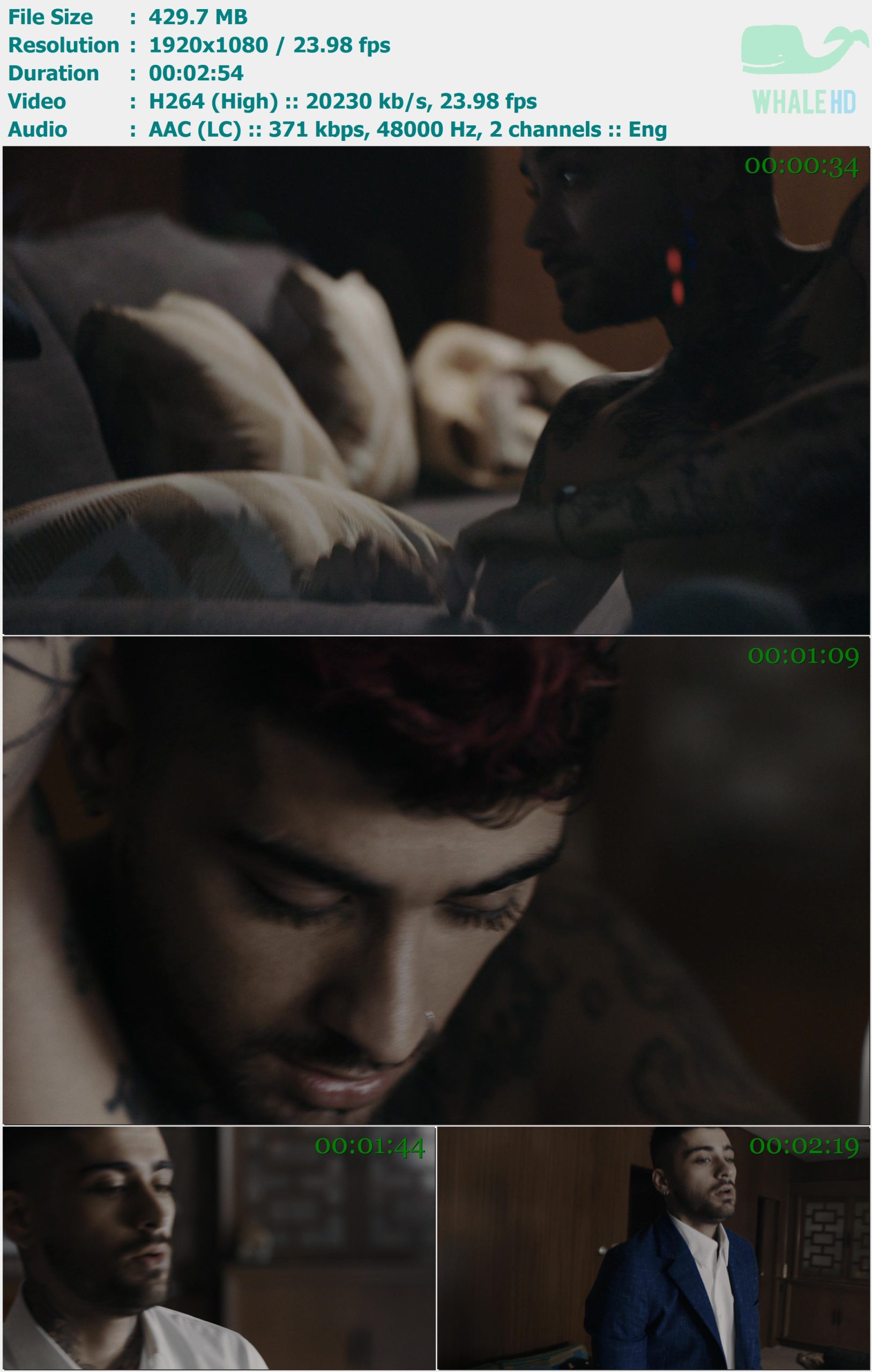 ZAYN - Better 2020 MasterRip 1080p H264 - 429.70MB