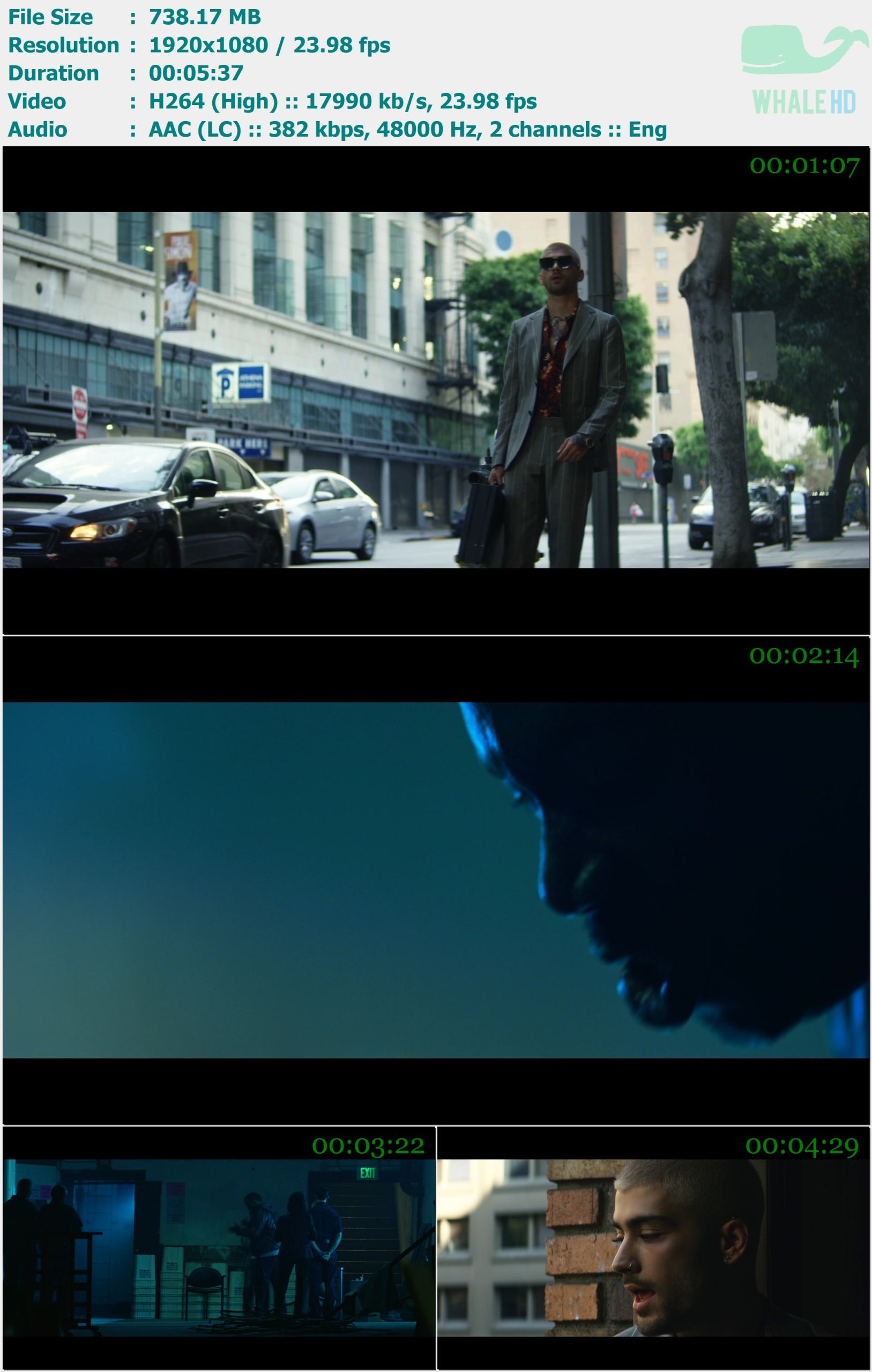 ZAYN - Dusk Till Dawn 2017 MasterRip 1080p H264 - 738.17MB