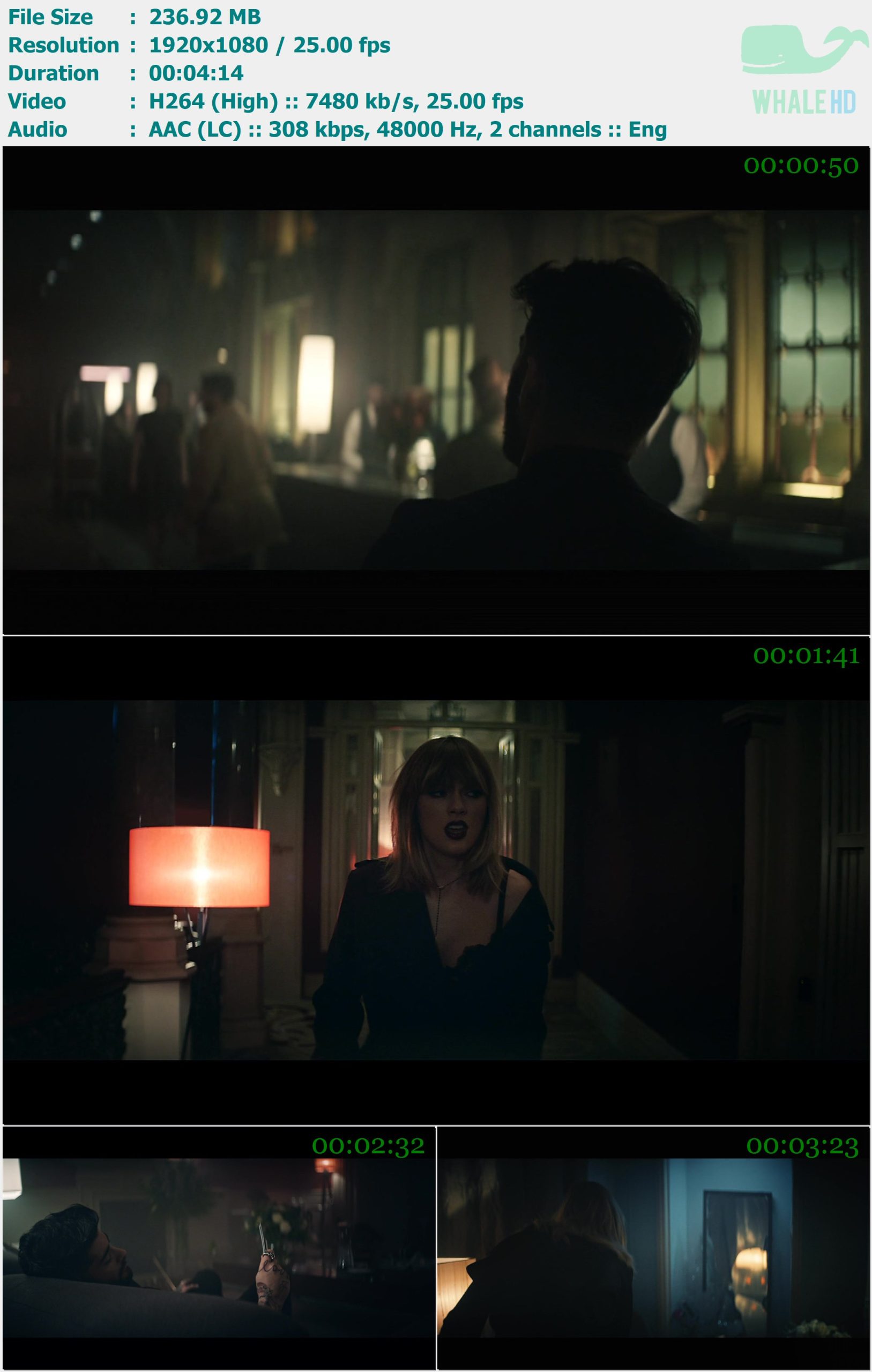 ZAYN feat. Taylor Swift - I Don't Wanna Live Forever 2017 WEB-DL 1080p H264 - 236.92MB