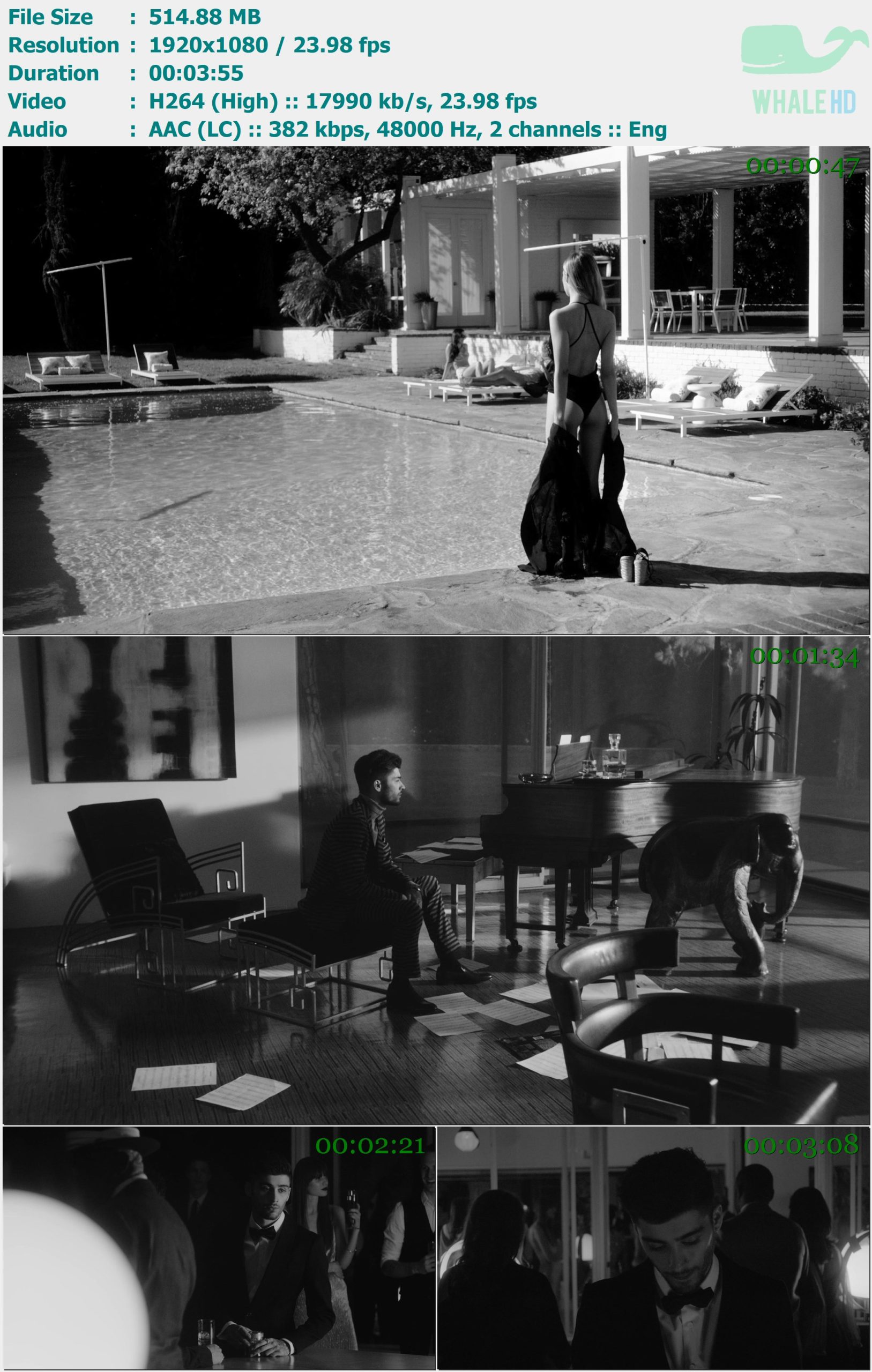 ZAYN - It's You 2025 MasterRip 1080p H264 - 514.88MB