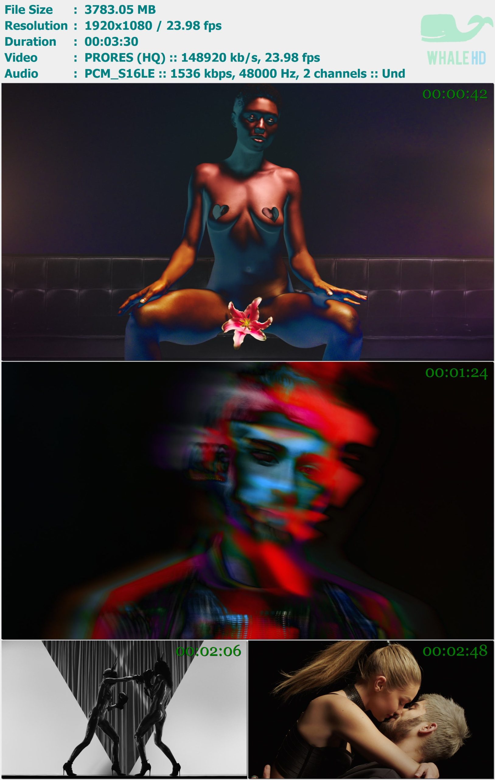 ZAYN - Pillowtalk 2016 Master 1080p ProRes - 3.69GB