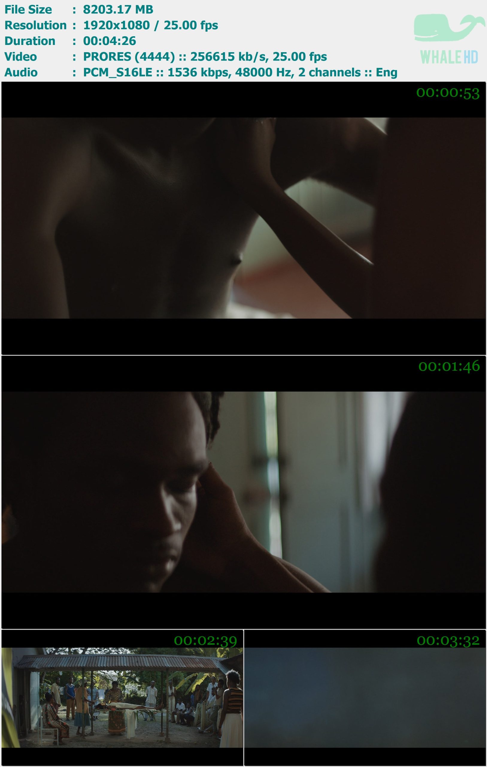 ZAYN - Satisfaction 2019 Master 1080p ProRes - 8.01GB