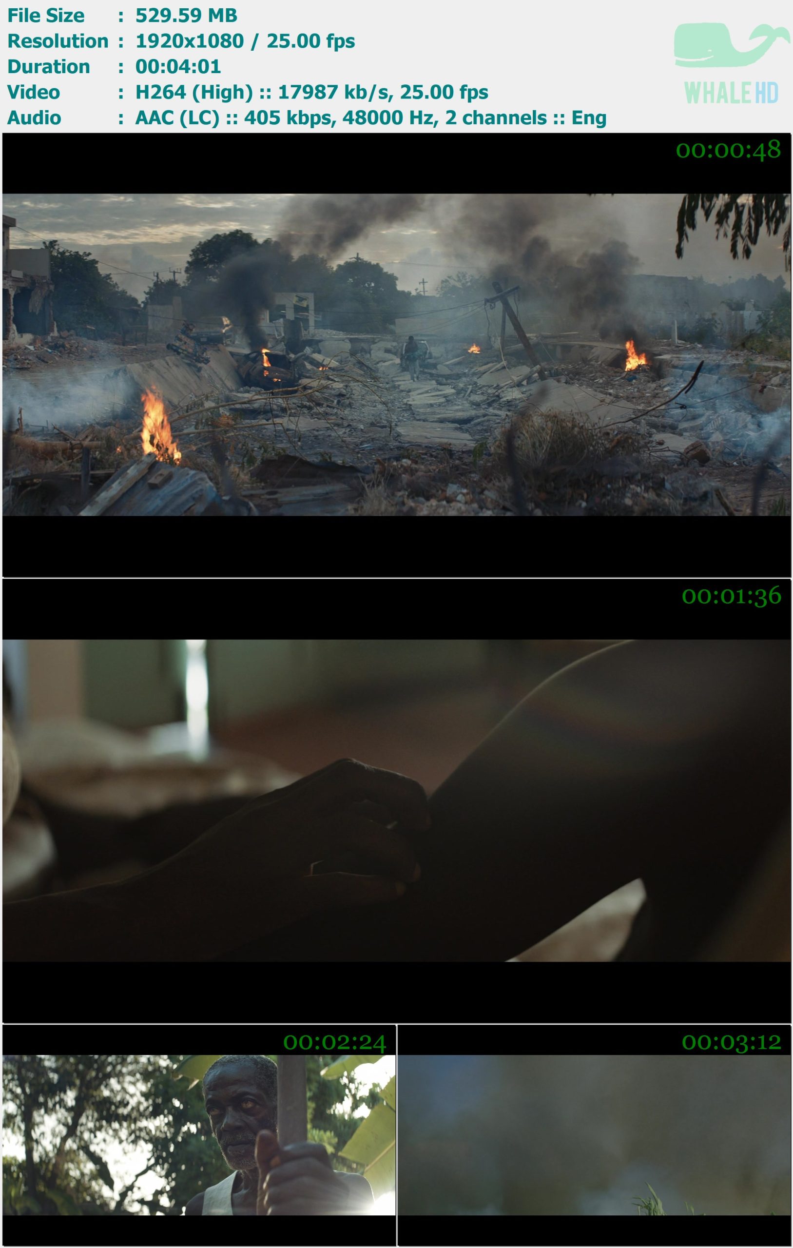ZAYN - Satisfaction 2019 MasterRip 1080p H264 - 529.59MB