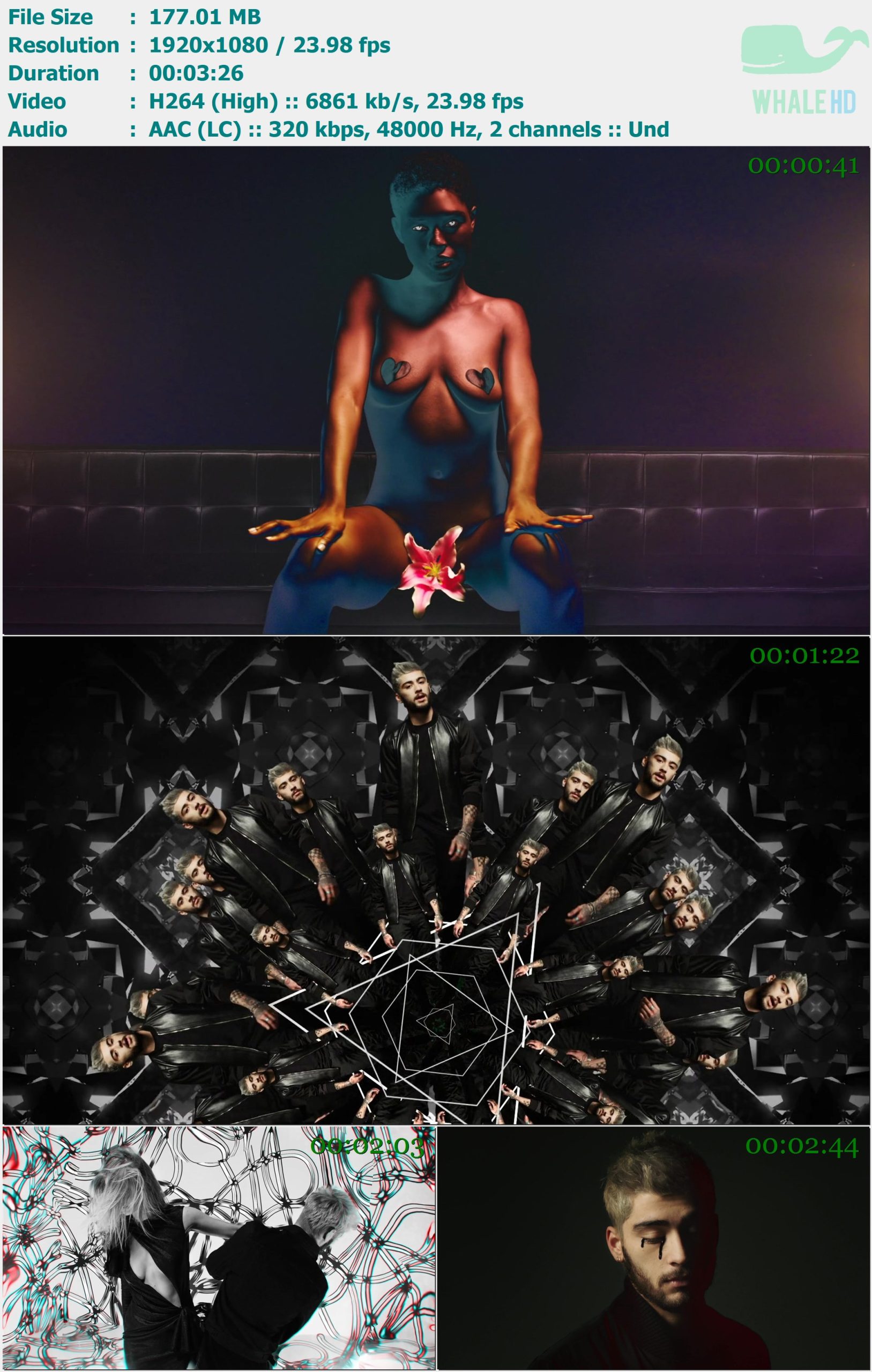 Zayn - PILLOWTALK 2016 𝐓𝐢𝐝𝐚𝐥 1080p H264 - 177.01MB