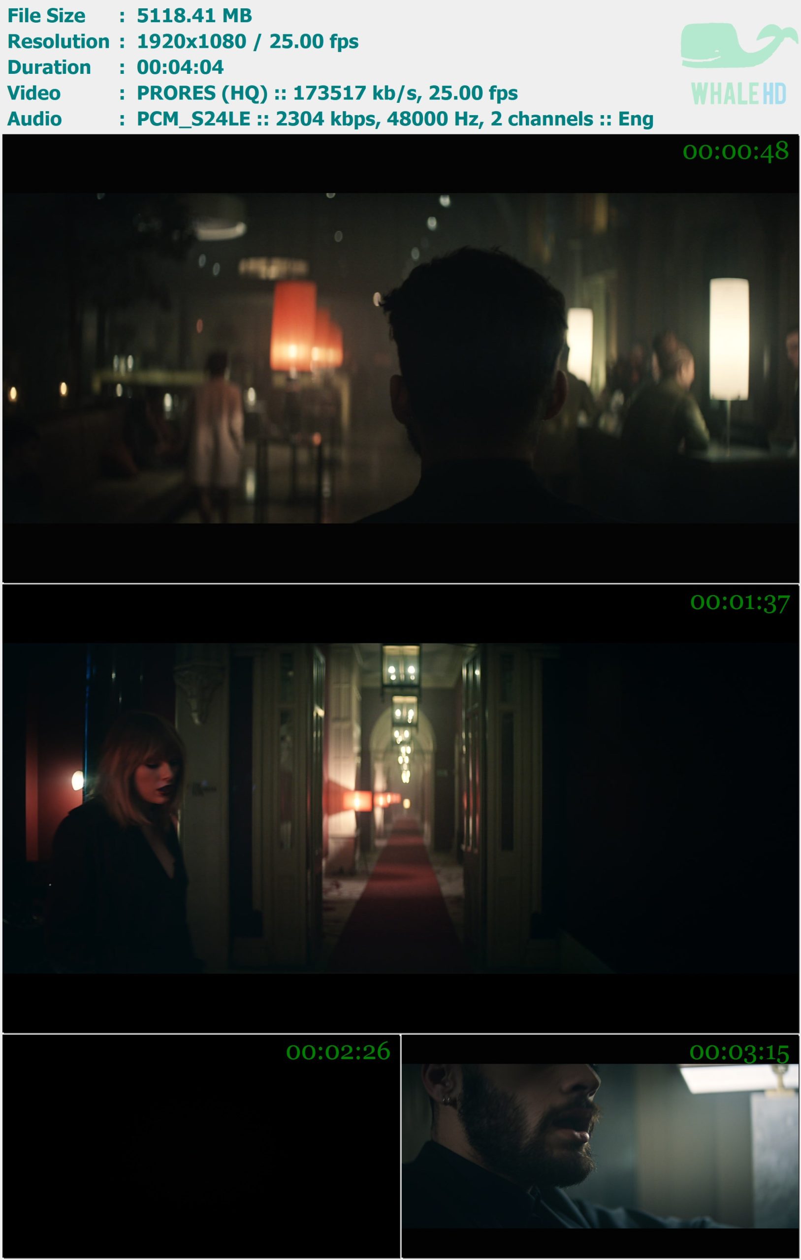 ZAYN & Taylor Swift - I Don't Wanna Live Forever 2017 Master 1080p ProRes - 5.00GB
